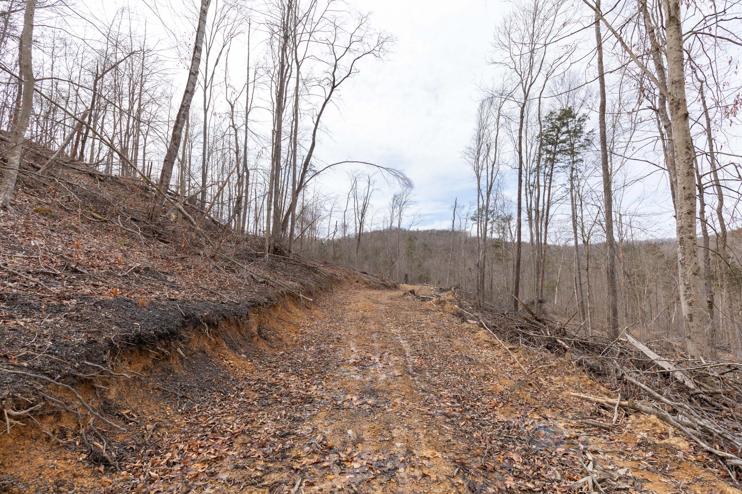 Creek Hollow Phase I Tract 5 photo 4