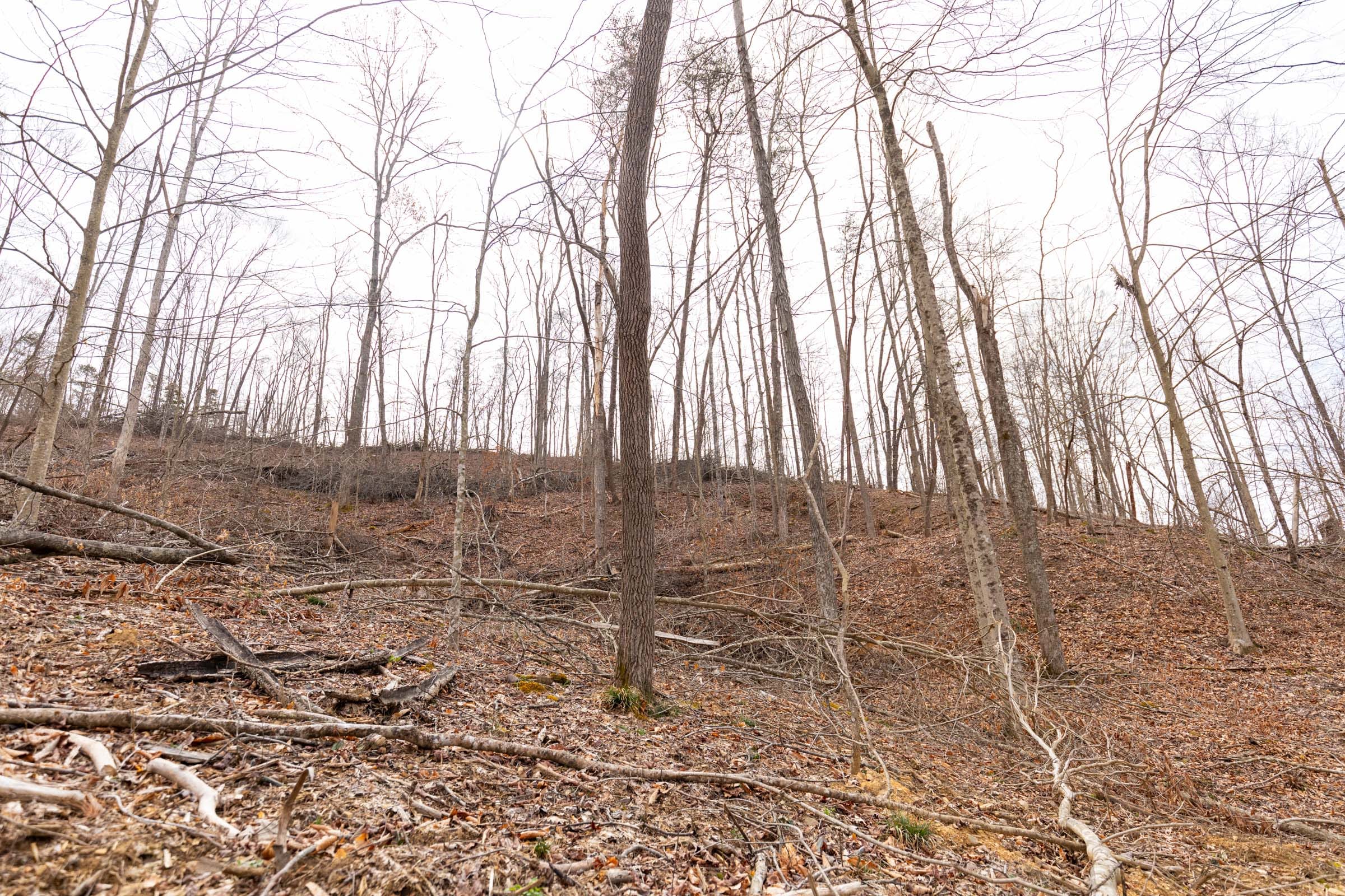 Creek Hollow Phase I Tract 5 photo 6
