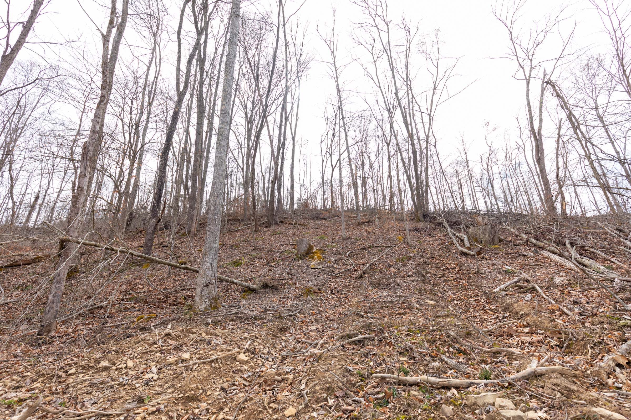 Creek Hollow Phase I Tract 5 photo 8