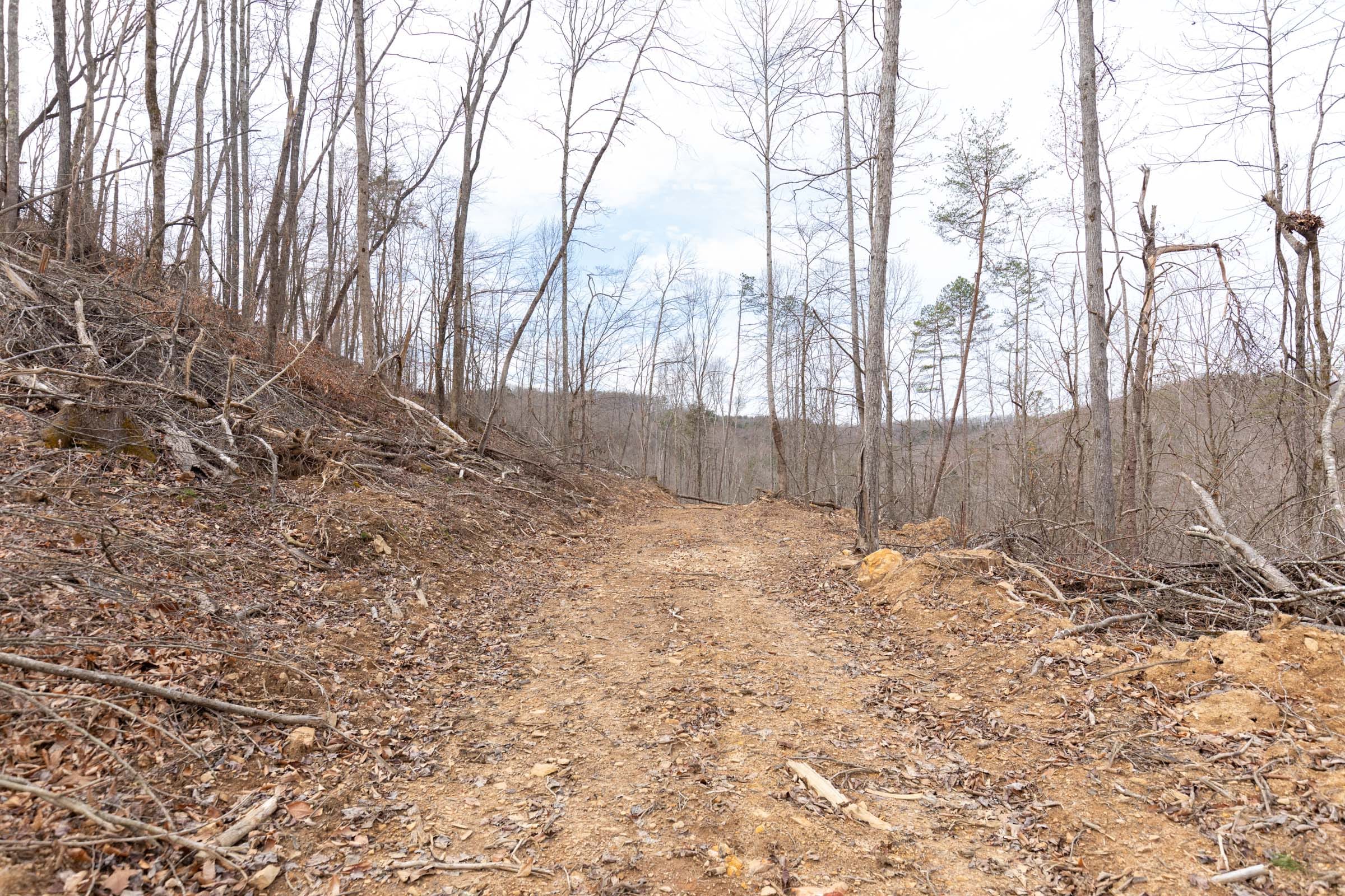 Creek Hollow Phase I Tract 5 photo 7
