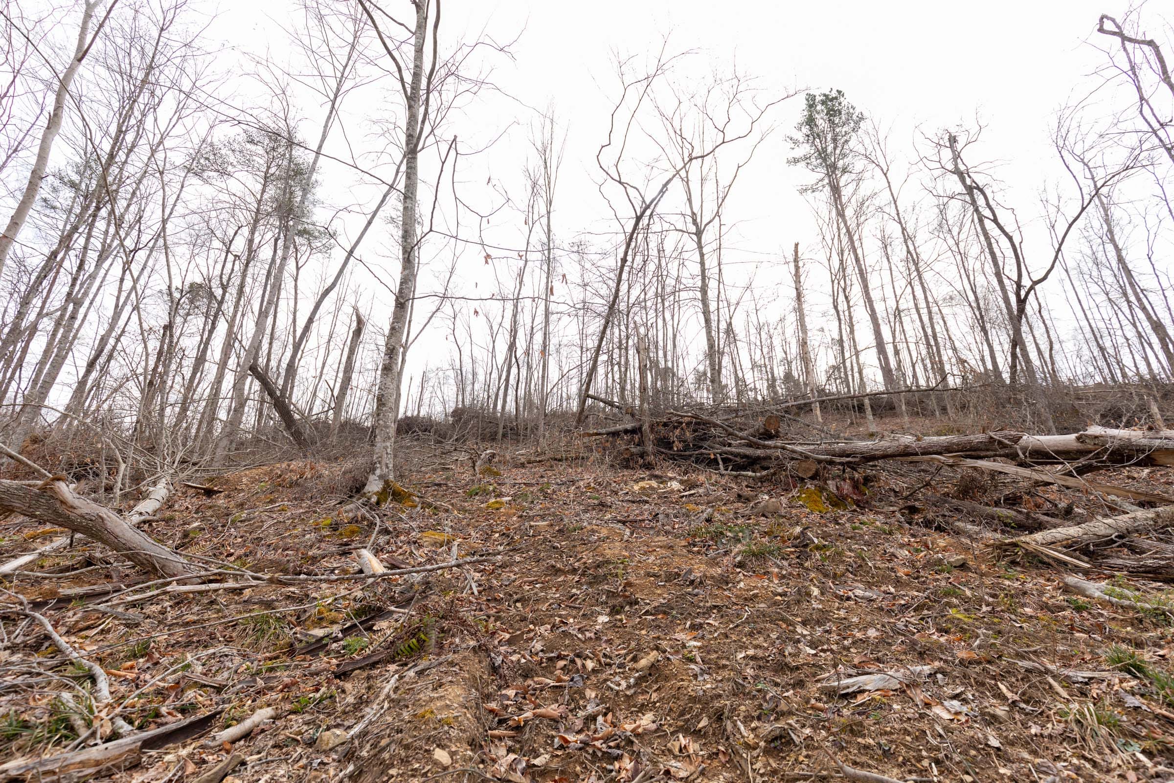 Creek Hollow Phase I Tract 5 photo 9