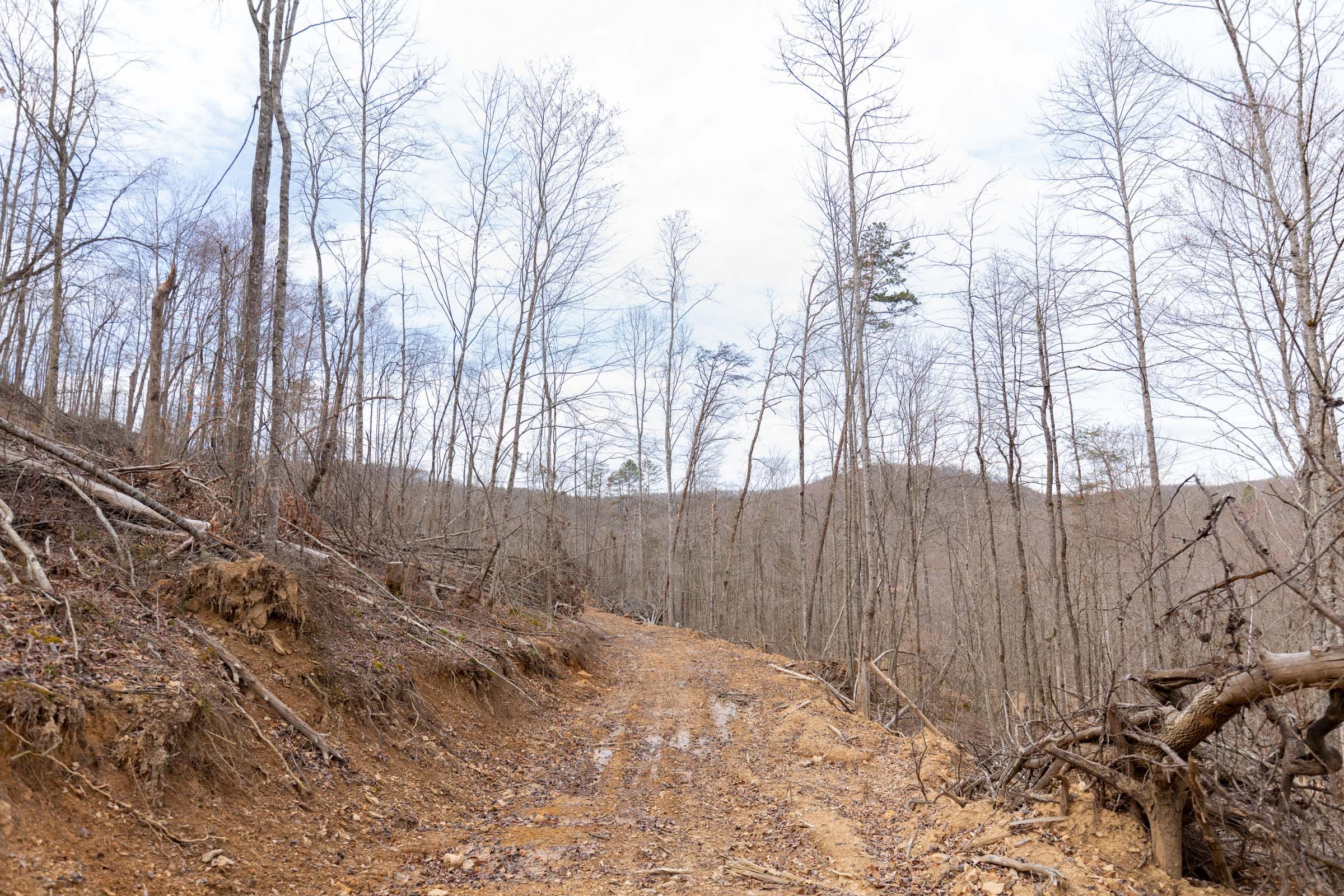 Creek Hollow Phase I Tract 5 photo 10