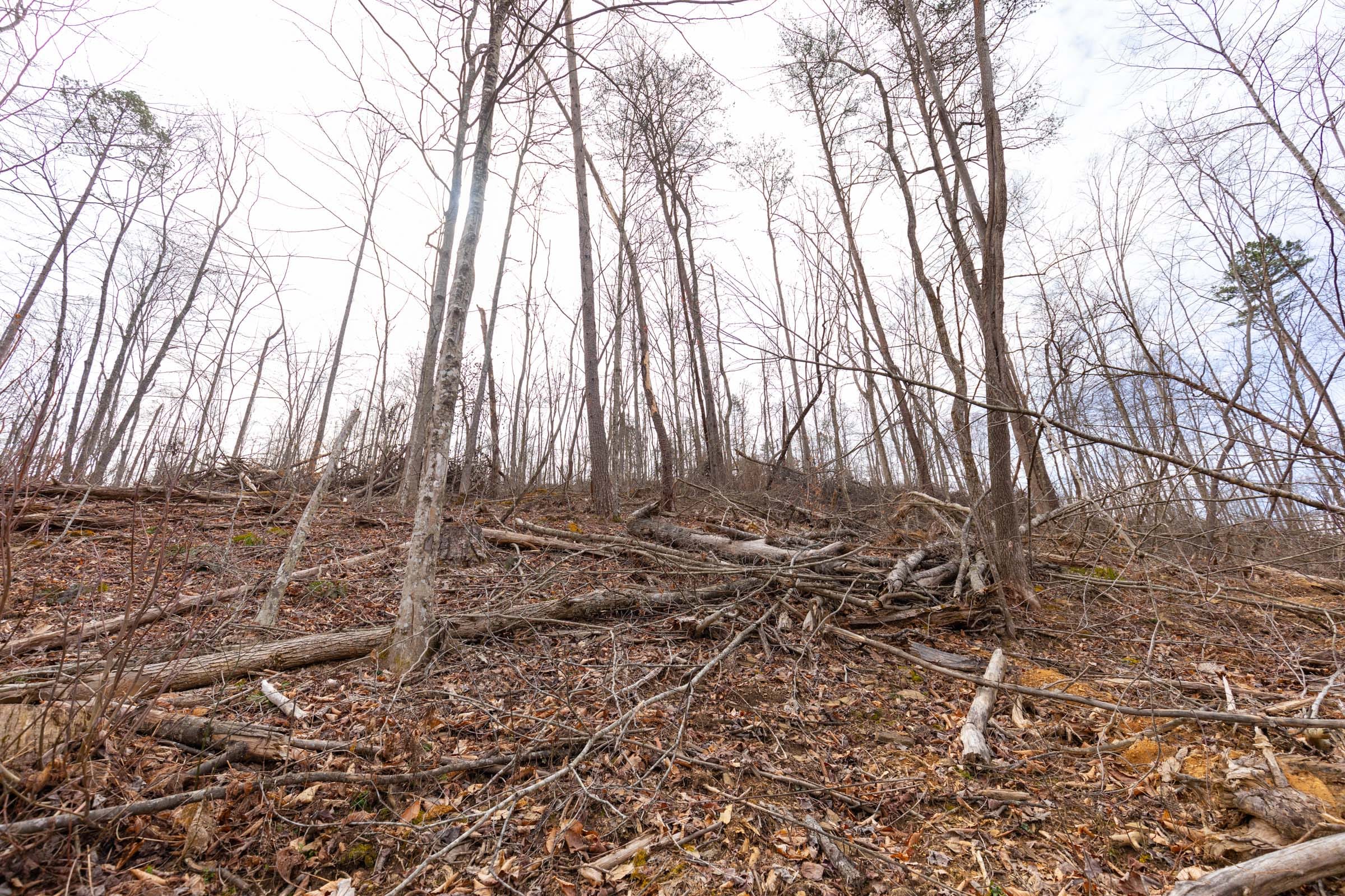 Creek Hollow Phase I Tract 5 photo 11