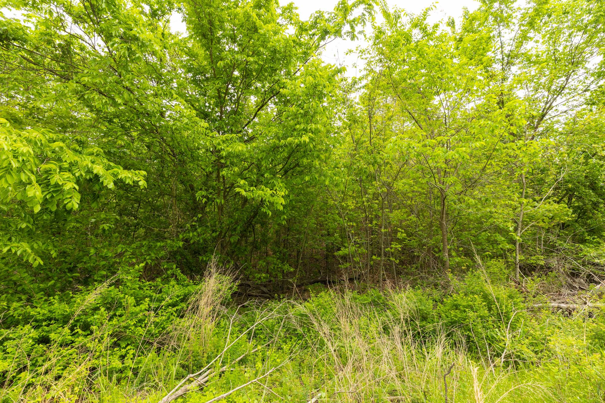 Double S Ranch Tract 10 photo 6
