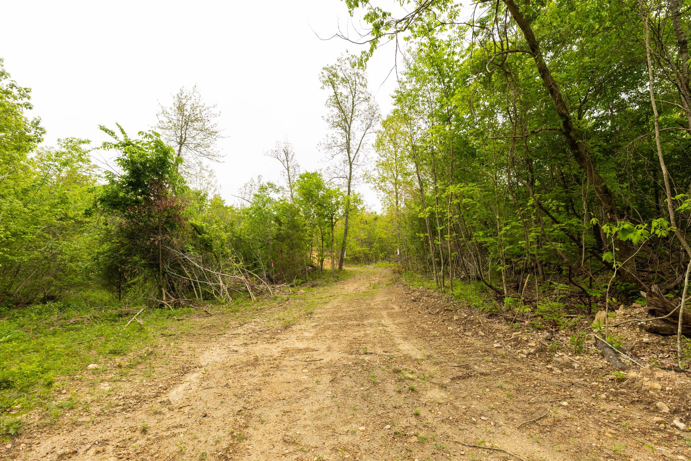 Double S Ranch Tract 10 photo 8