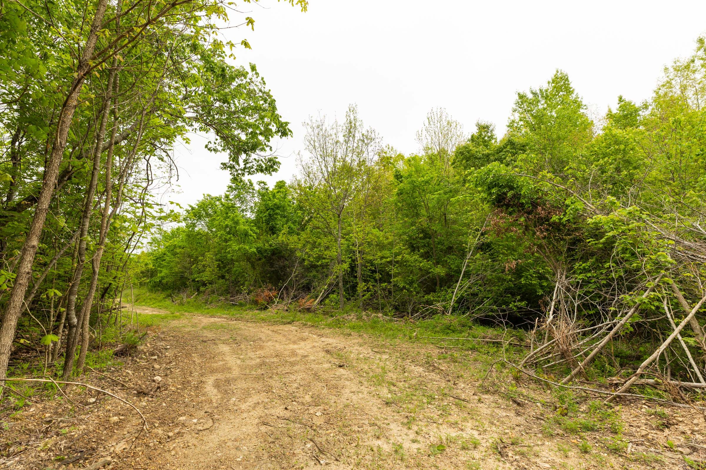 Double S Ranch Tract 10 photo 5
