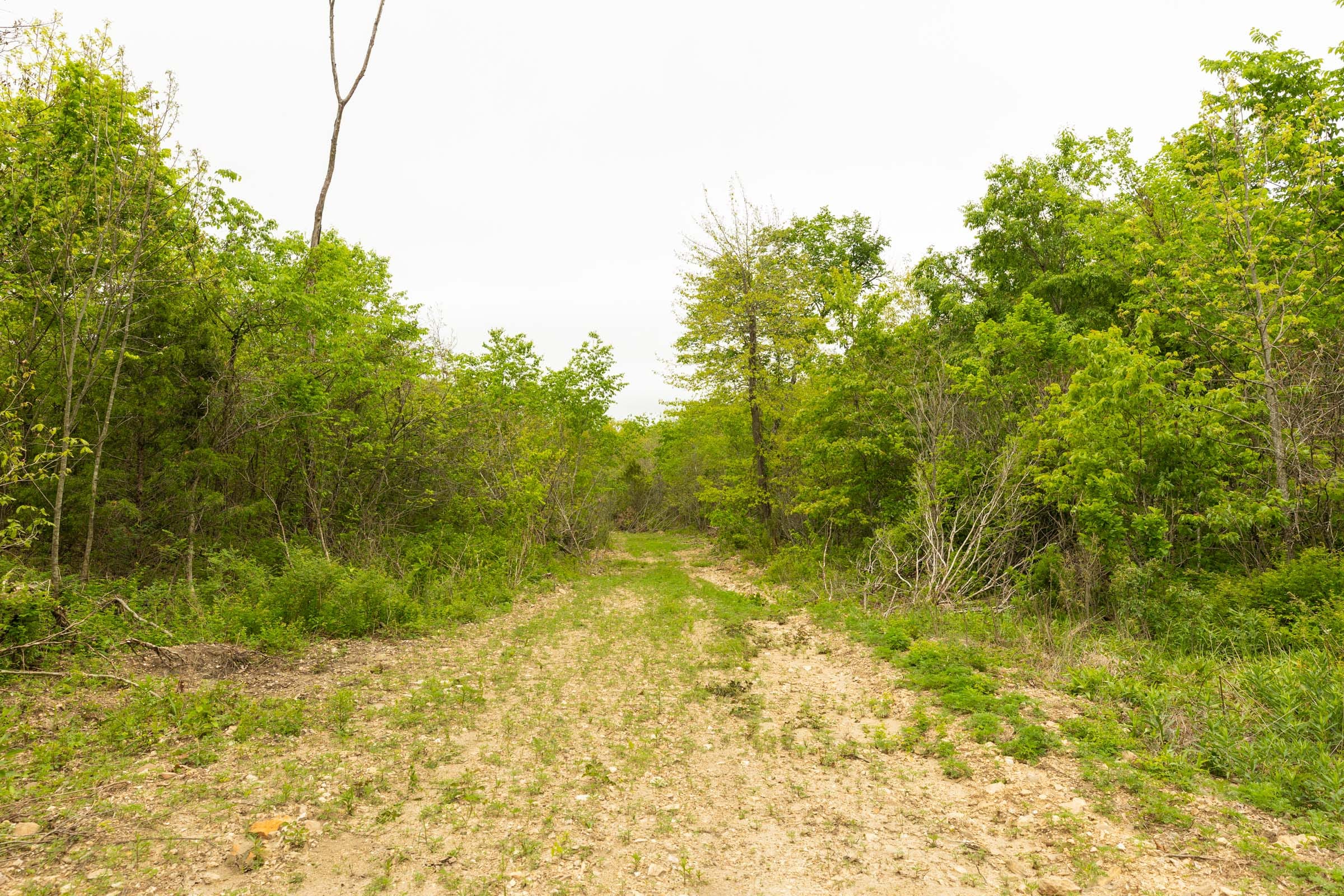 Double S Ranch Tract 10 photo 2