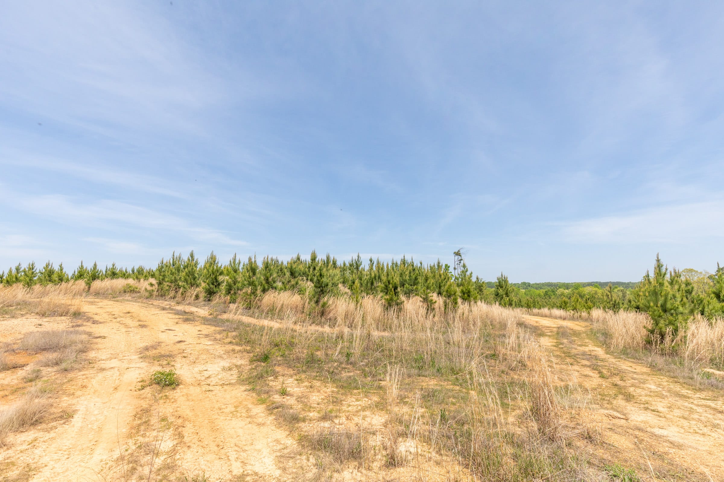 Clear Wood Tract 39 photo 4