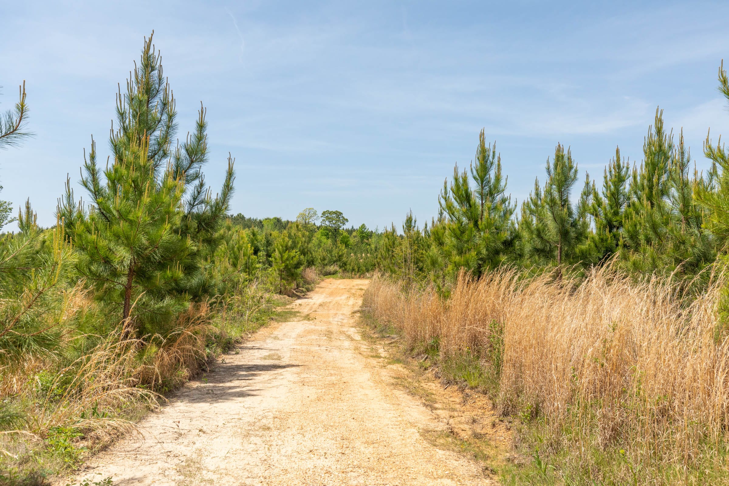 Clear Wood Tract 39 photo 1
