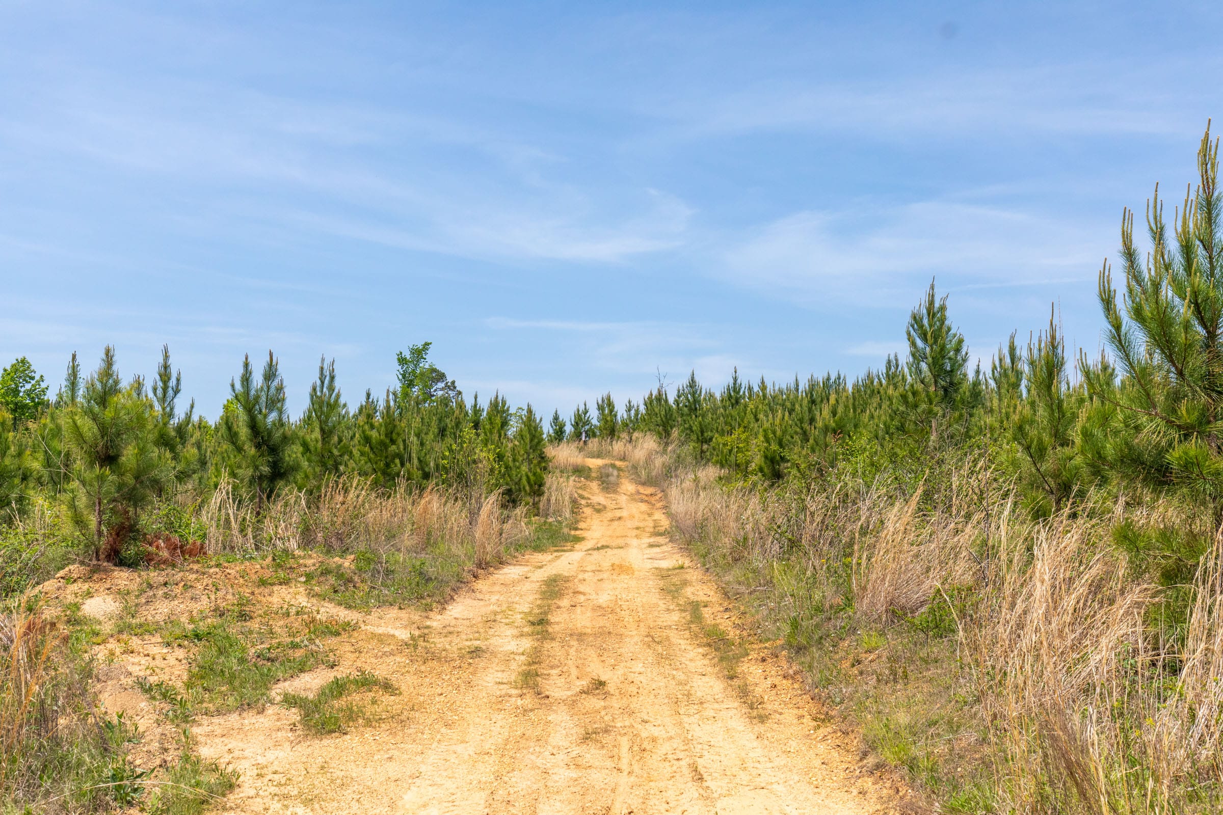 Clear Wood Tract 39 photo 13