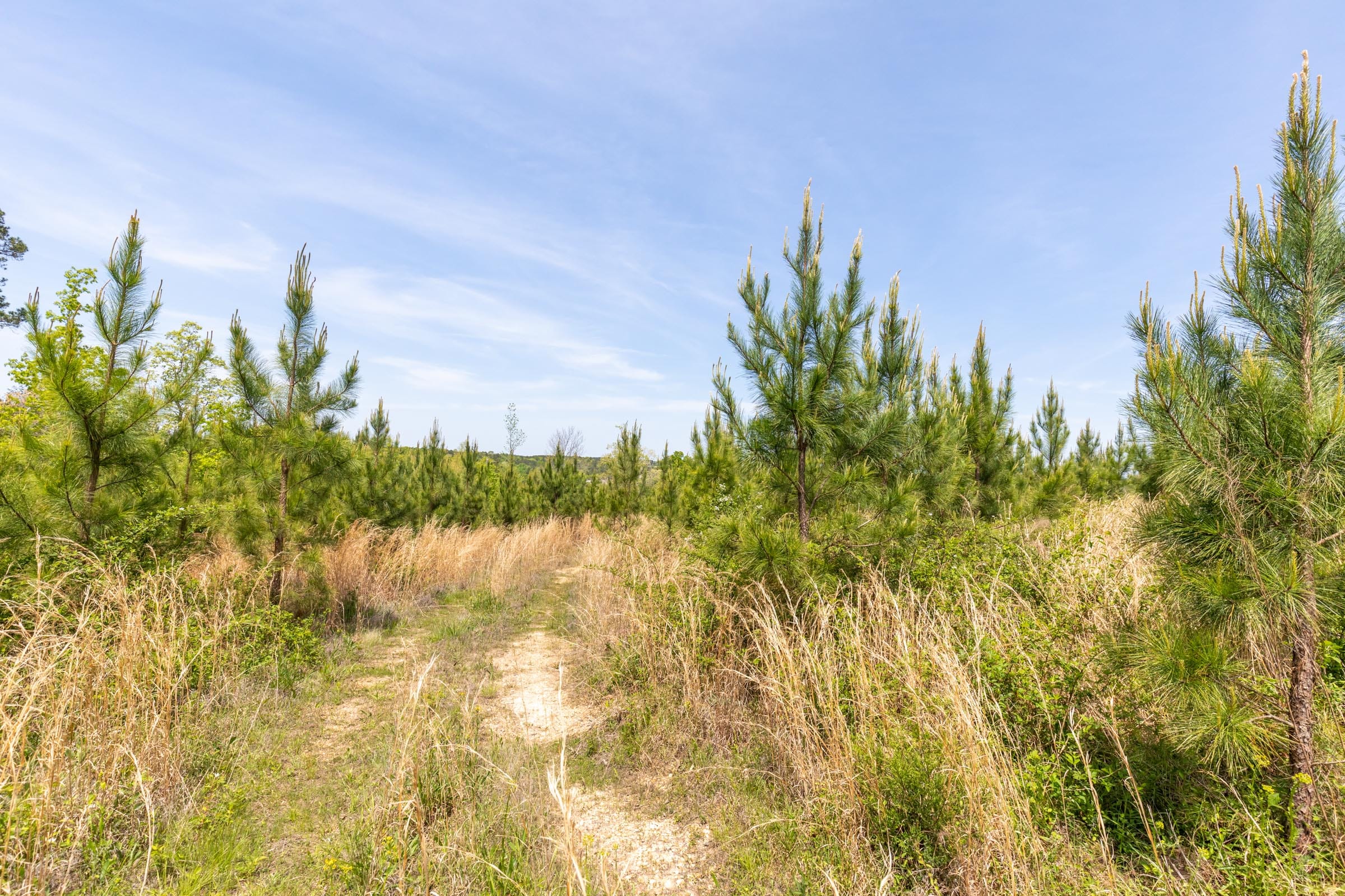 Clear Wood Tract 39 photo 18