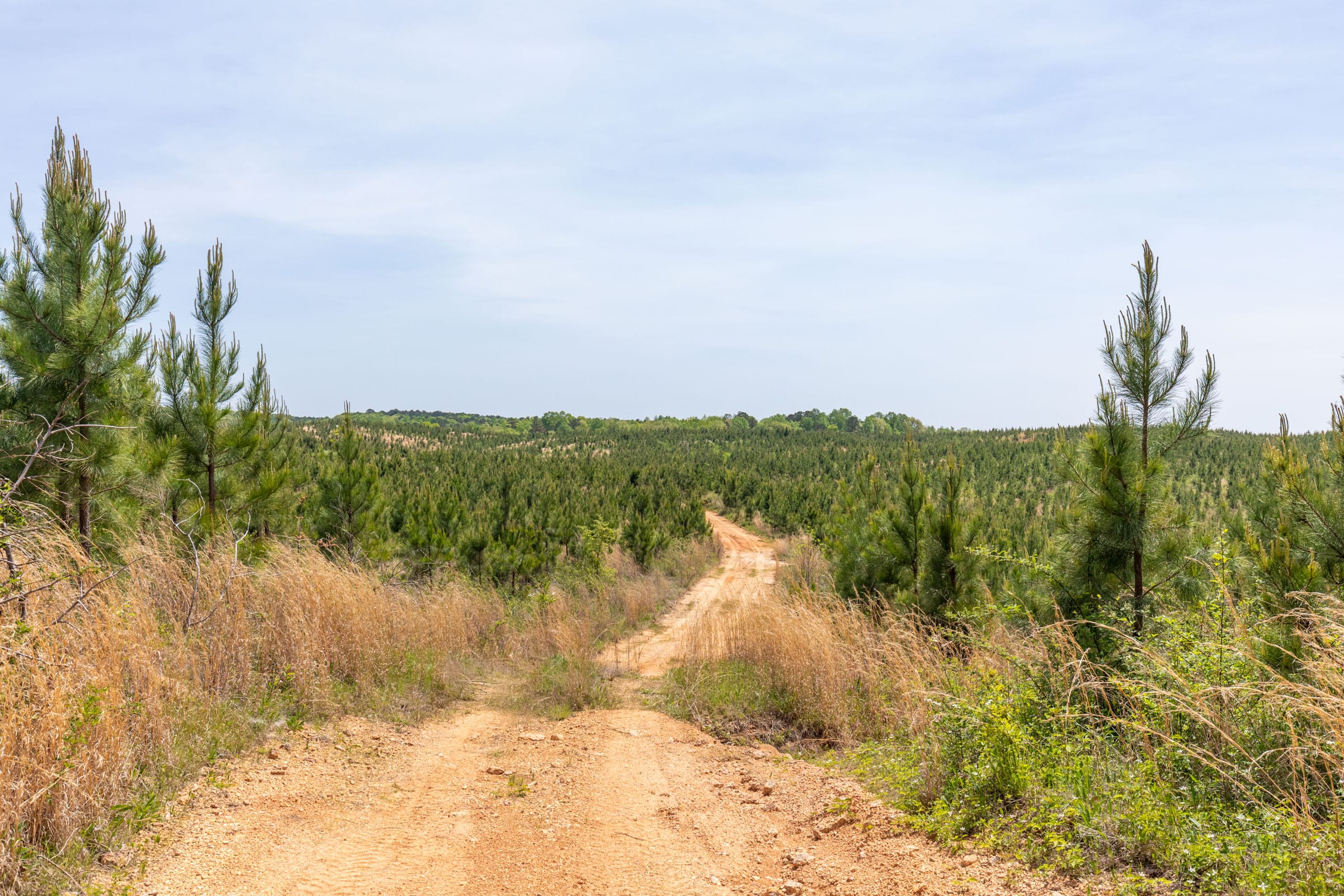 Clear Wood Tract 39 photo 19