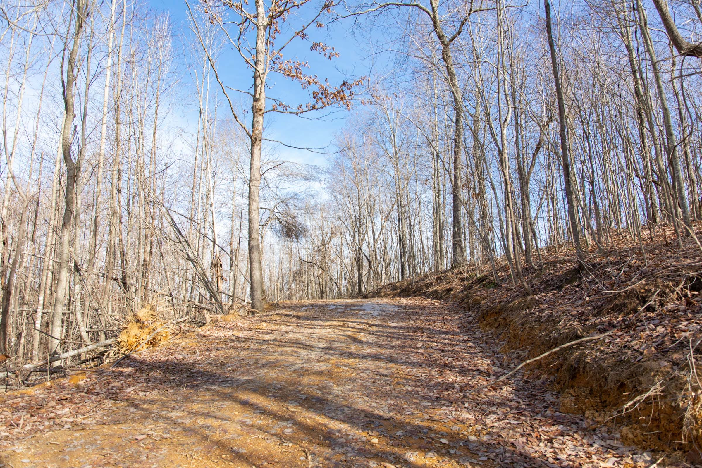 Blackstone Mountain Phase I Tract 25 photo 7