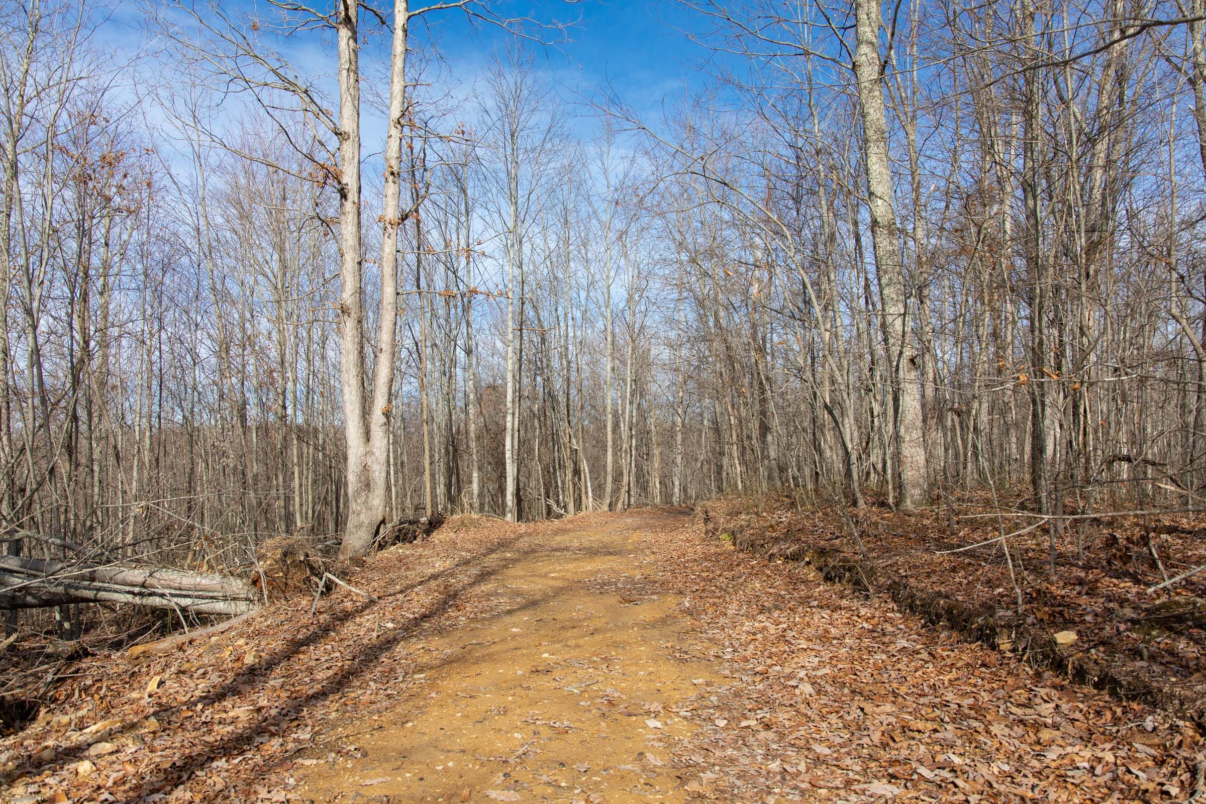 Blackstone Mountain Phase I Tract 25 photo 11