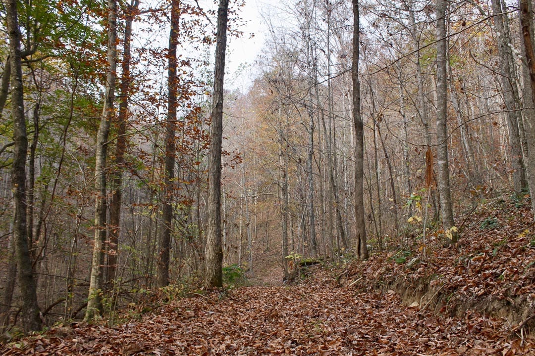 Autumn Ridge Tract 8 photo 1