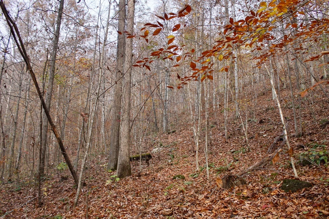 Autumn Ridge Tract 8 photo 2