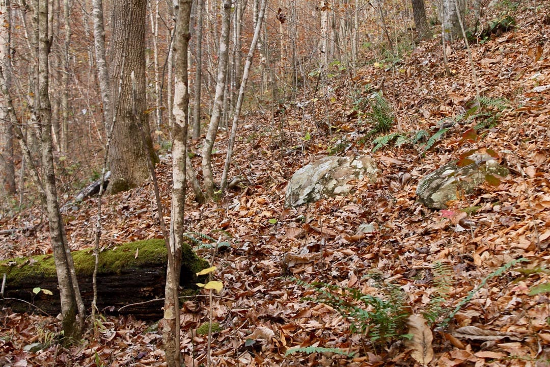 Autumn Ridge Tract 8 photo 8