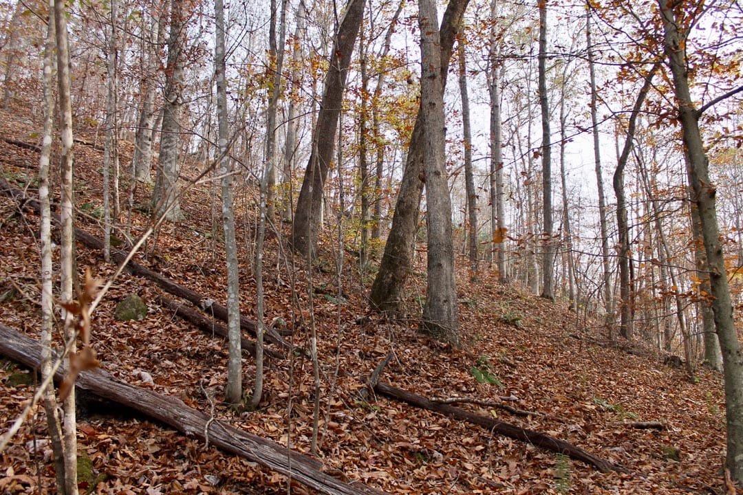 Autumn Ridge Tract 8 photo 10