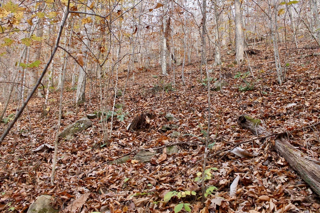 Autumn Ridge Tract 8 photo 11