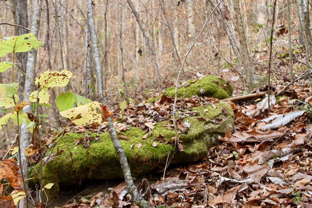 Autumn Ridge Tract 8 photo 15