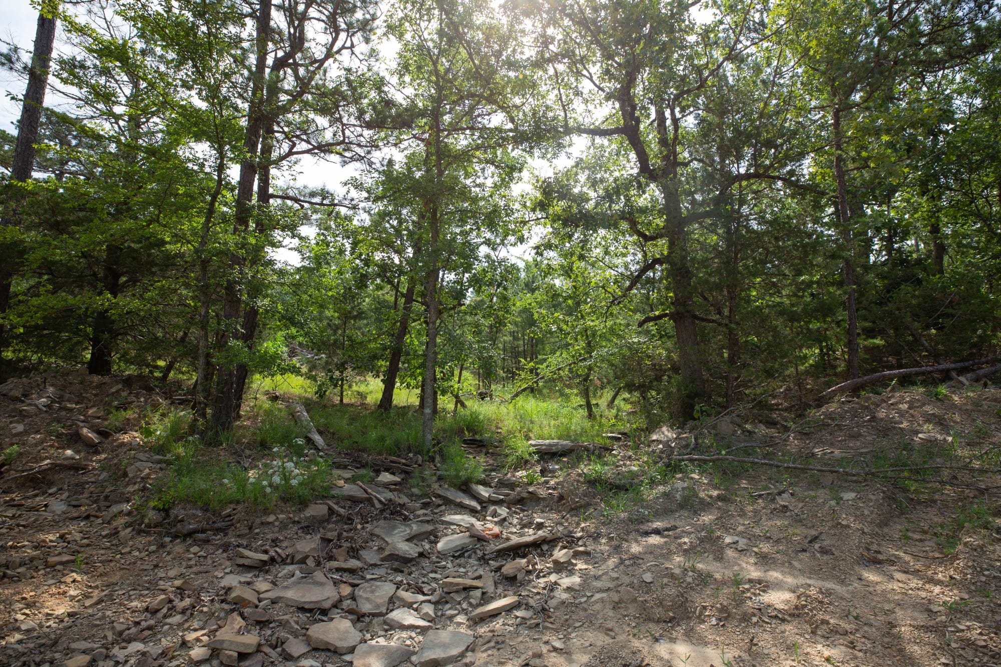 Eagle’s Nest Tract 34 photo 3