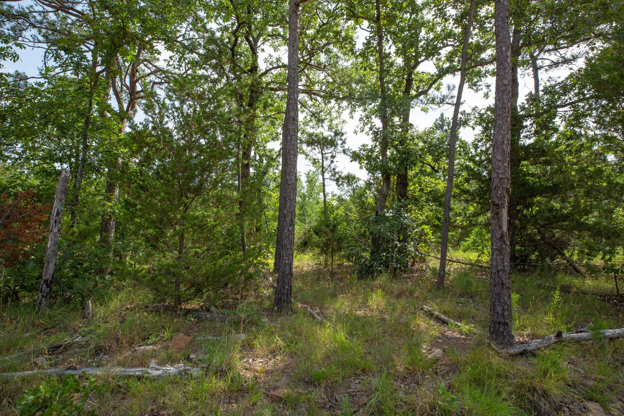 Eagle’s Nest Tract 34 photo 5