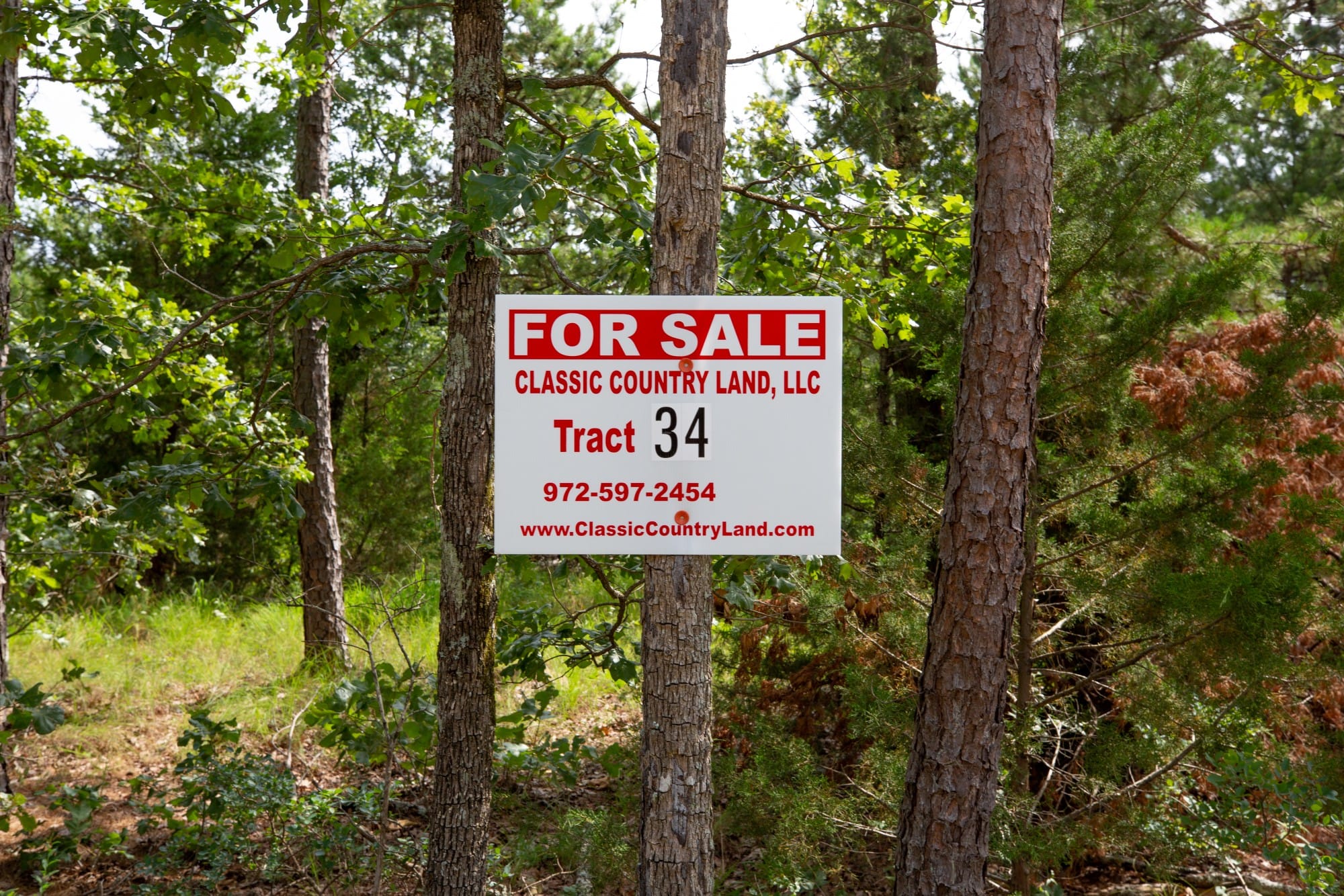Eagle’s Nest Tract 34 photo 1