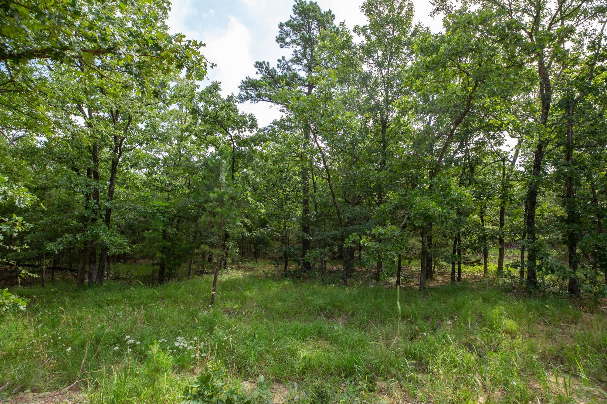 Eagle’s Nest Tract 34 photo 6