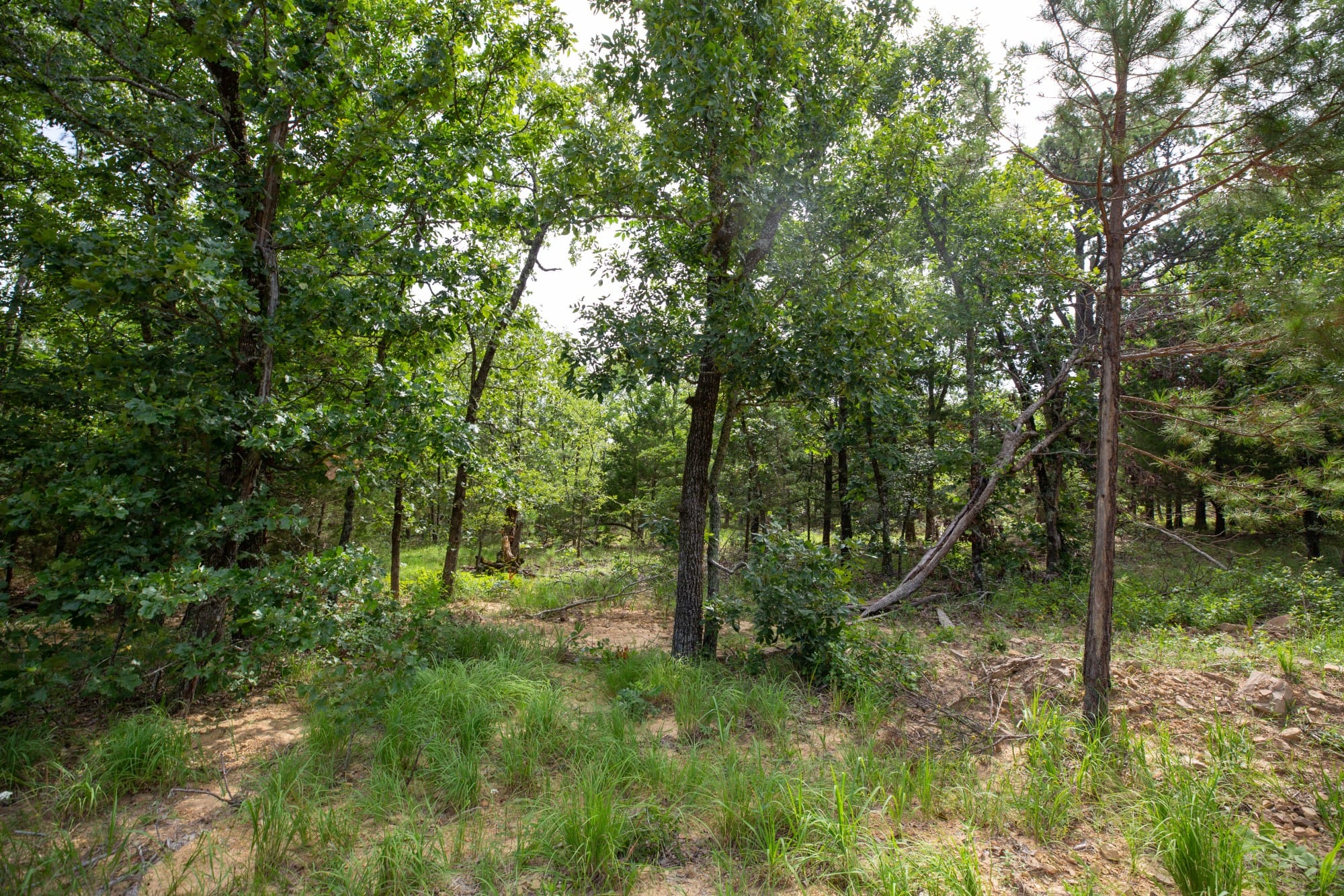 Eagle’s Nest Tract 34 photo 7