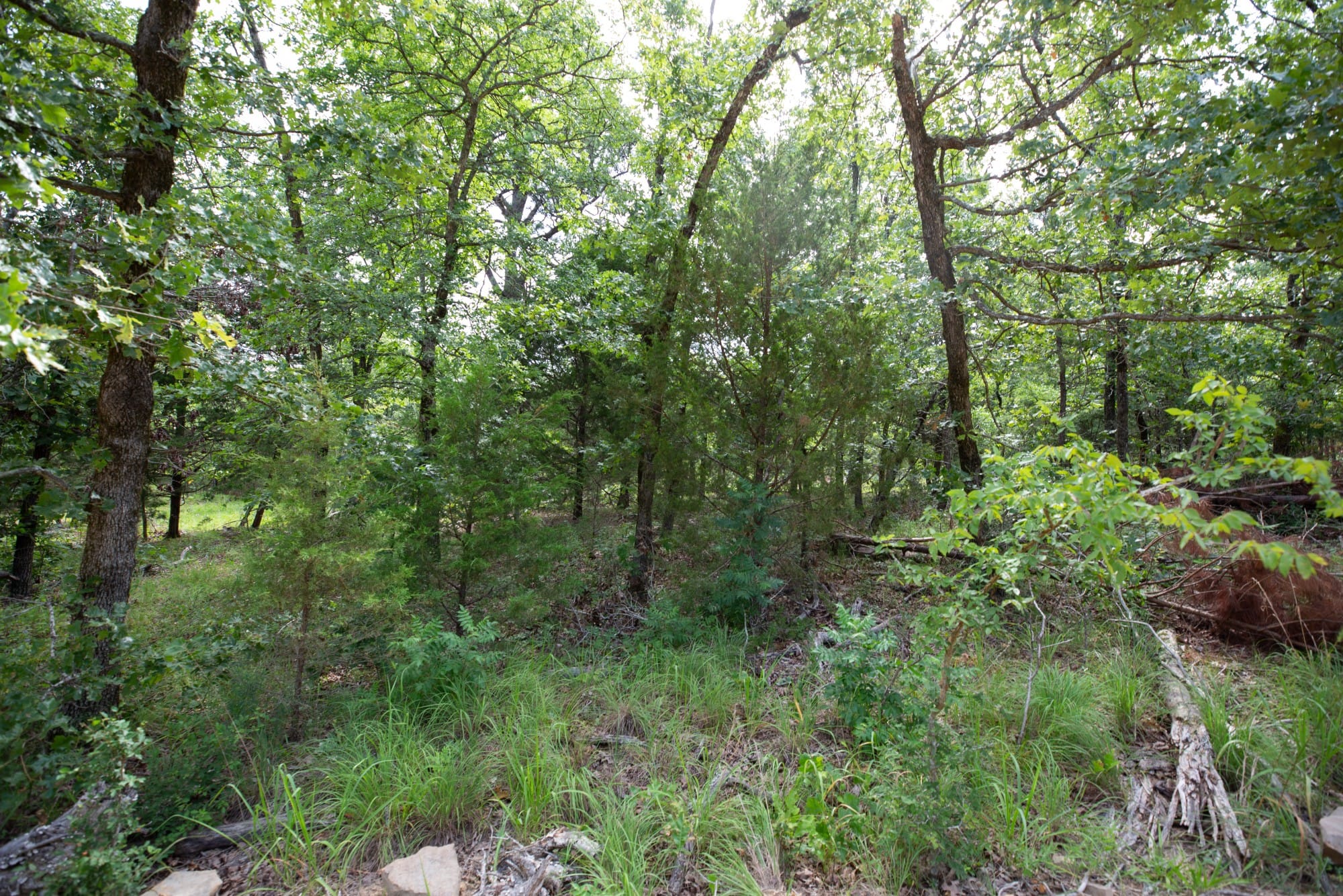 Eagle’s Nest Tract 34 photo 9