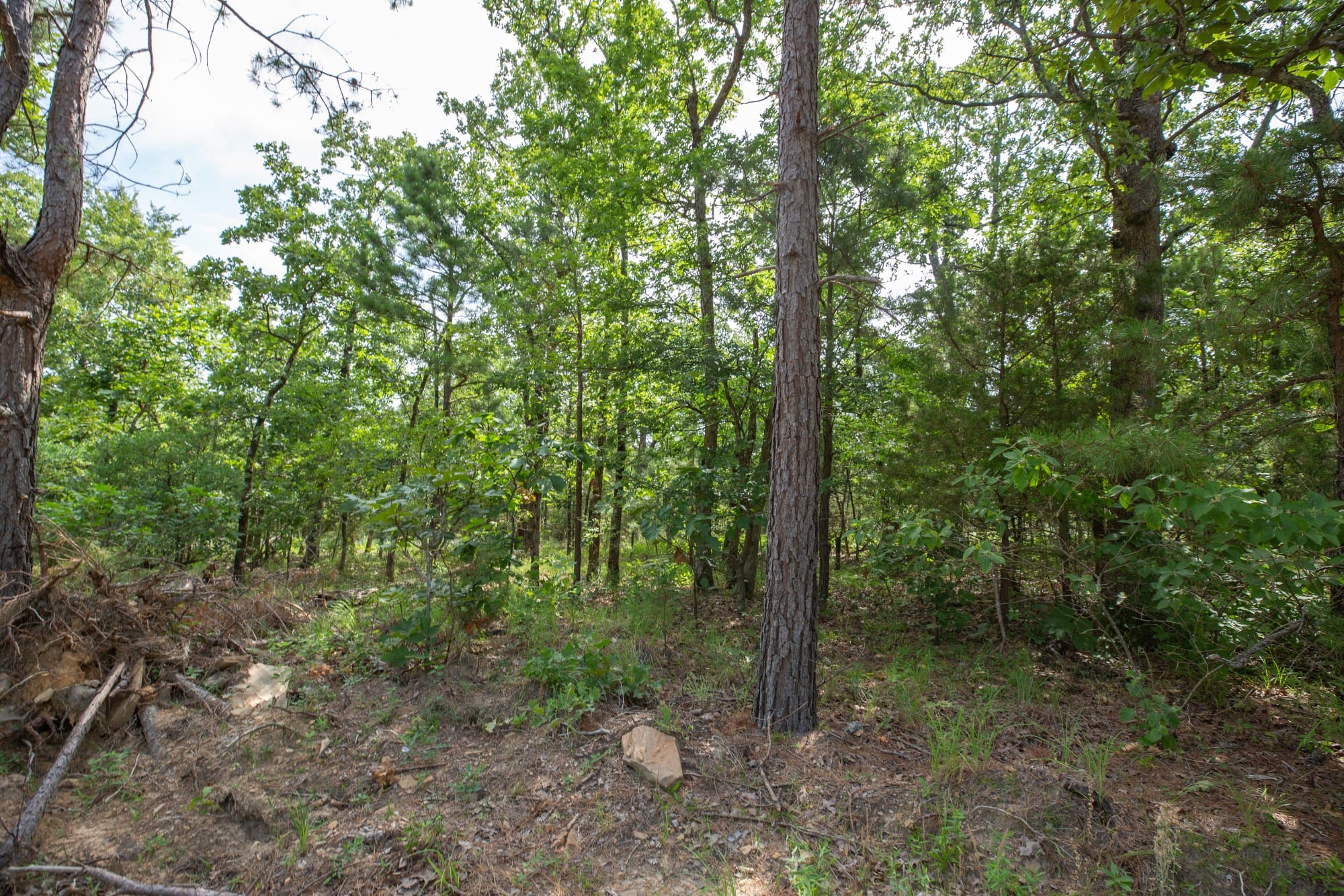 Eagle’s Nest Tract 34 photo 10