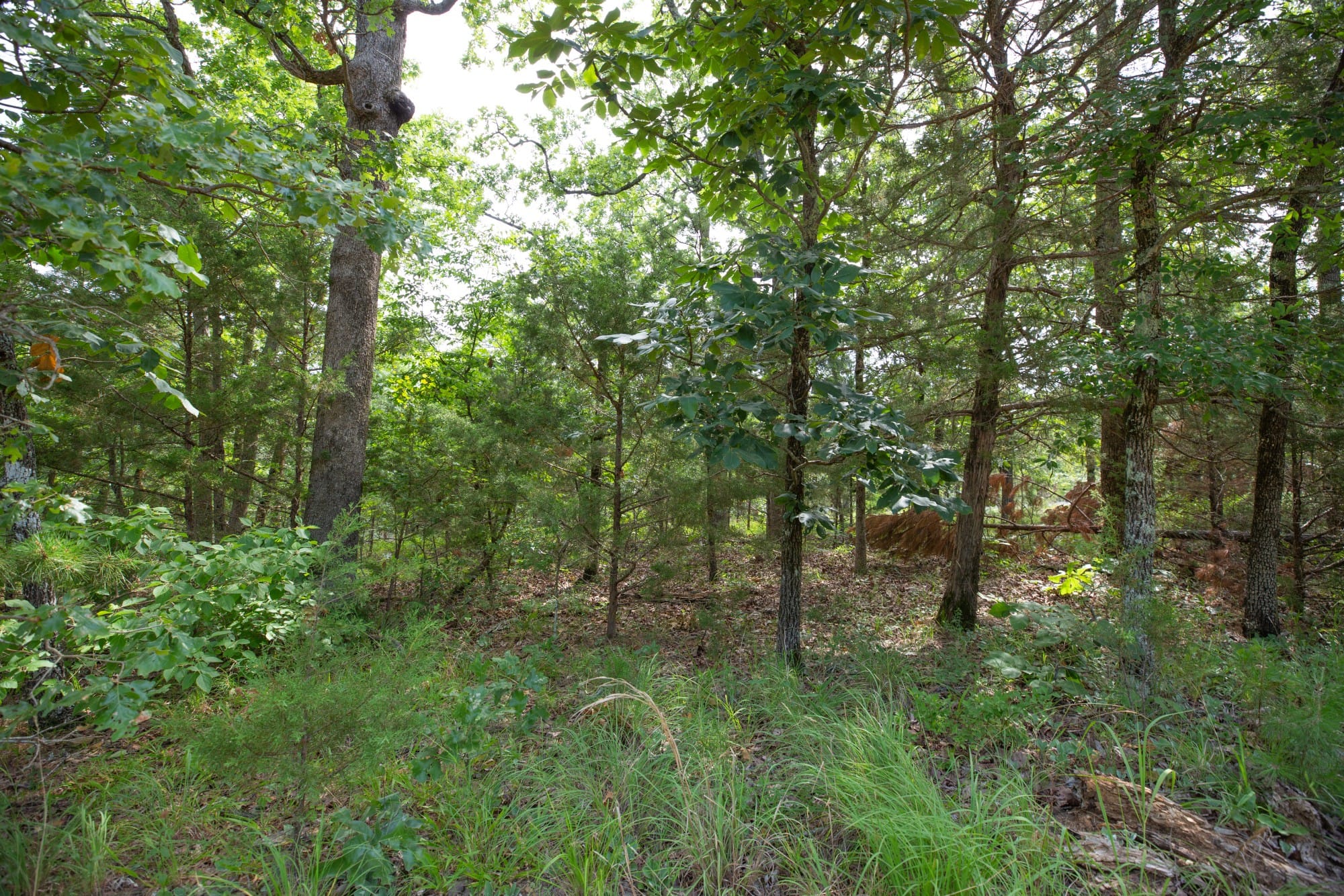 Eagle’s Nest Tract 34 photo 11