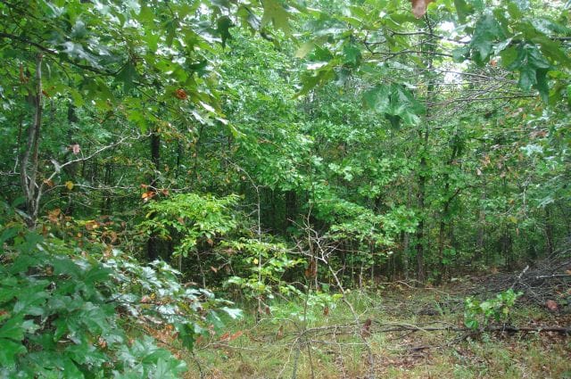 Sugartree Falls Tract 37 photo 3