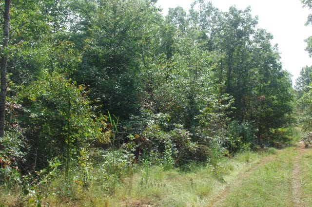 Sugartree Falls Tract 37 photo 1