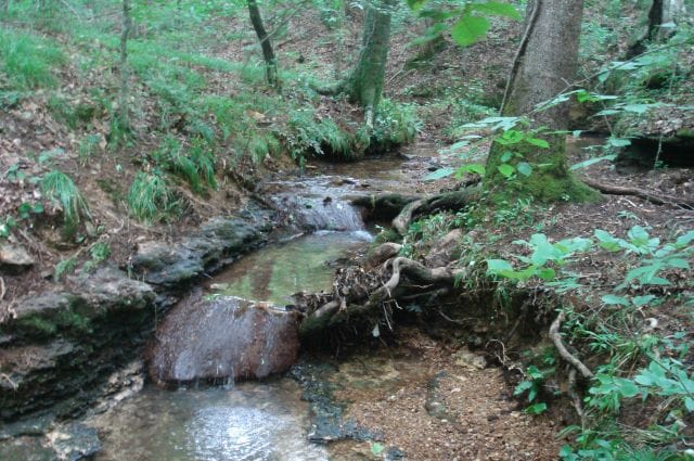 Sugartree Falls Tract 37 photo 9