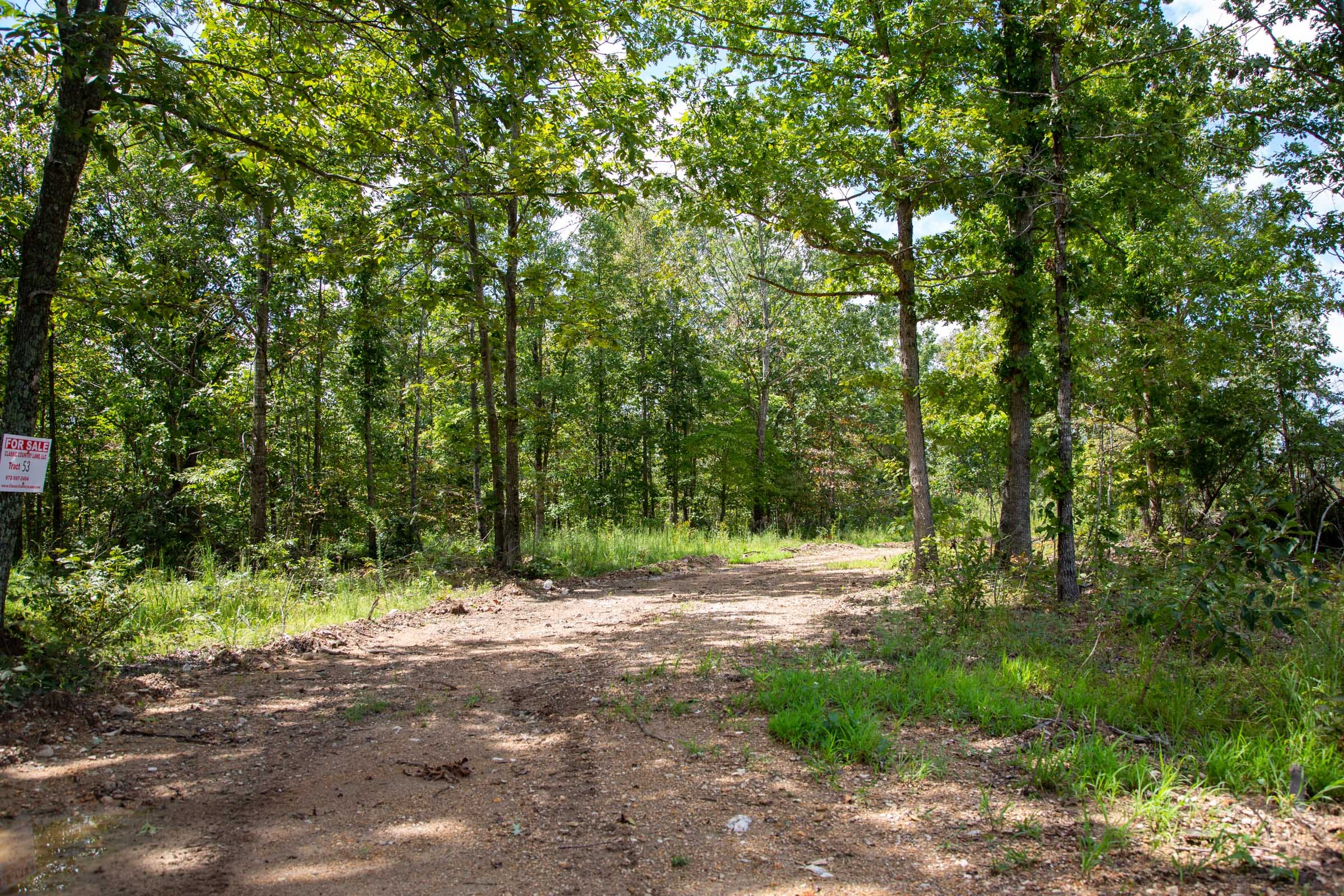 Borgmann’s Hollow Phase II Tract 53 photo 2