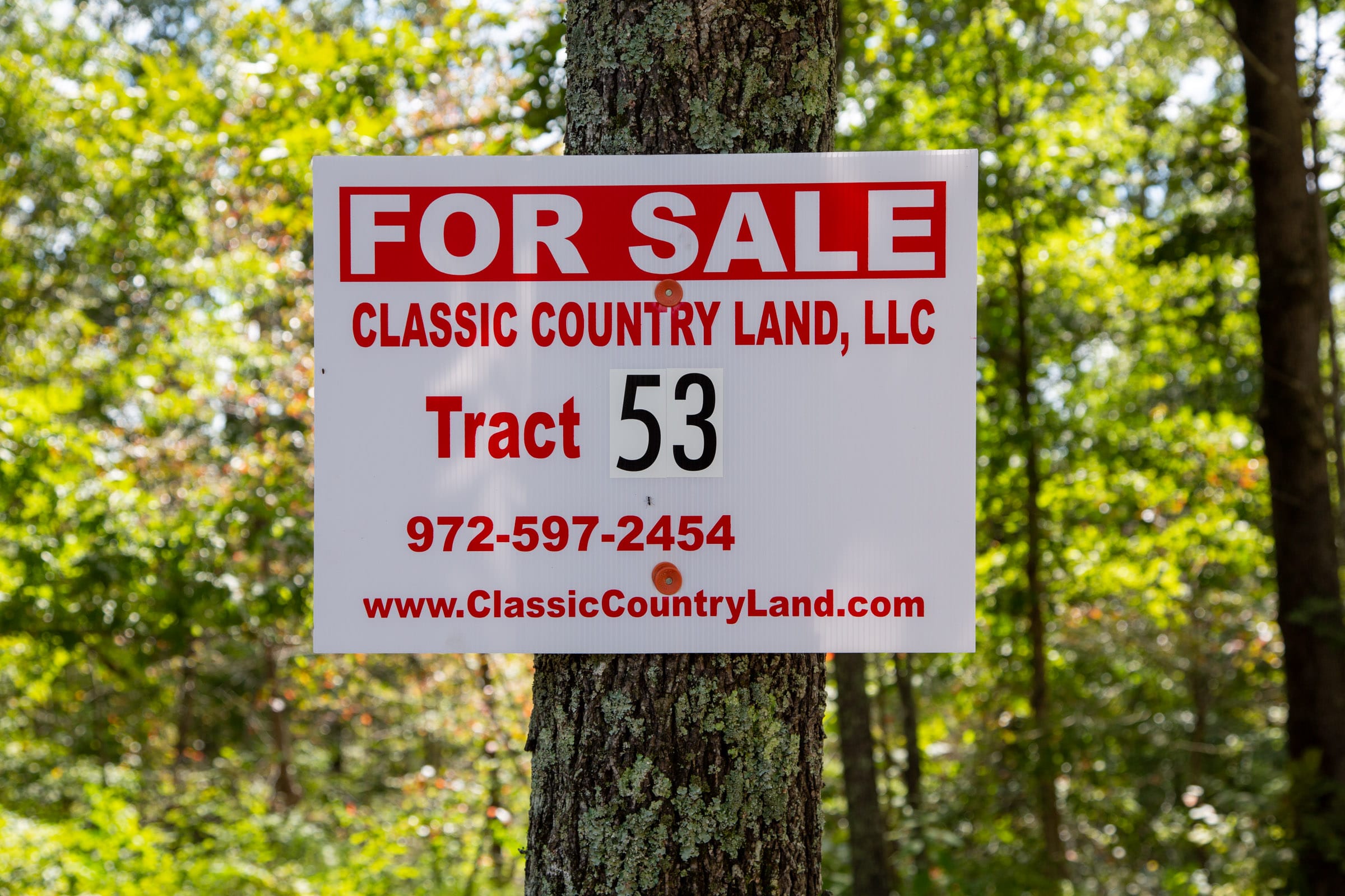 Borgmann’s Hollow Phase II Tract 53 photo 1