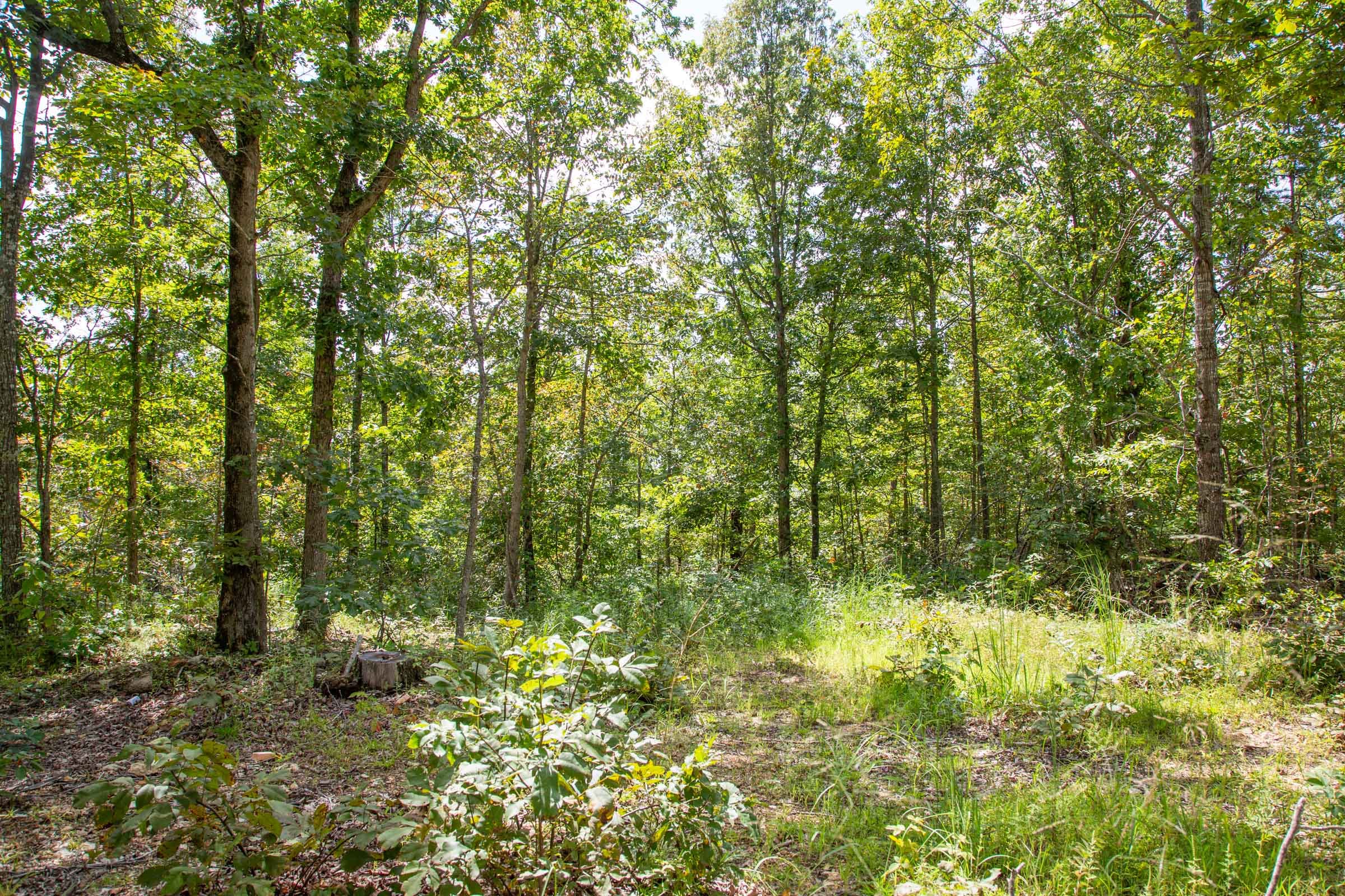 Borgmann’s Hollow Phase II Tract 53 photo 7