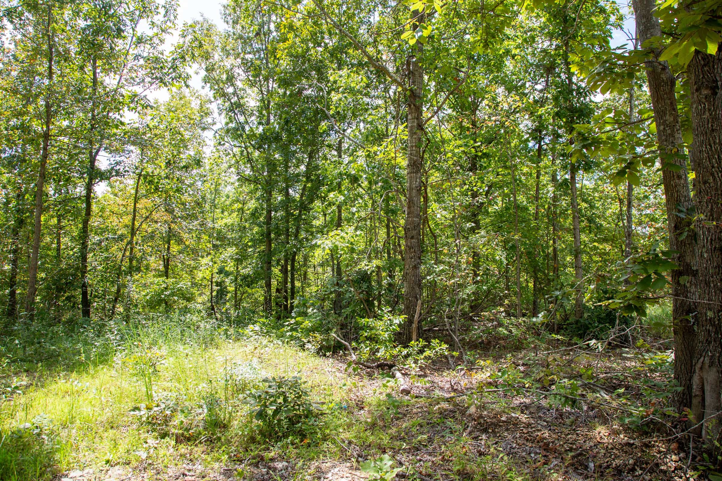 Borgmann’s Hollow Phase II Tract 53 photo 8