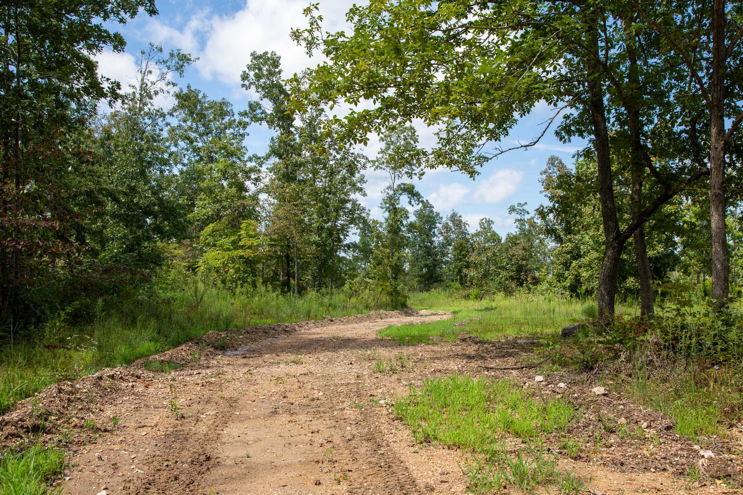 Borgmann’s Hollow Phase II Tract 53 photo 9