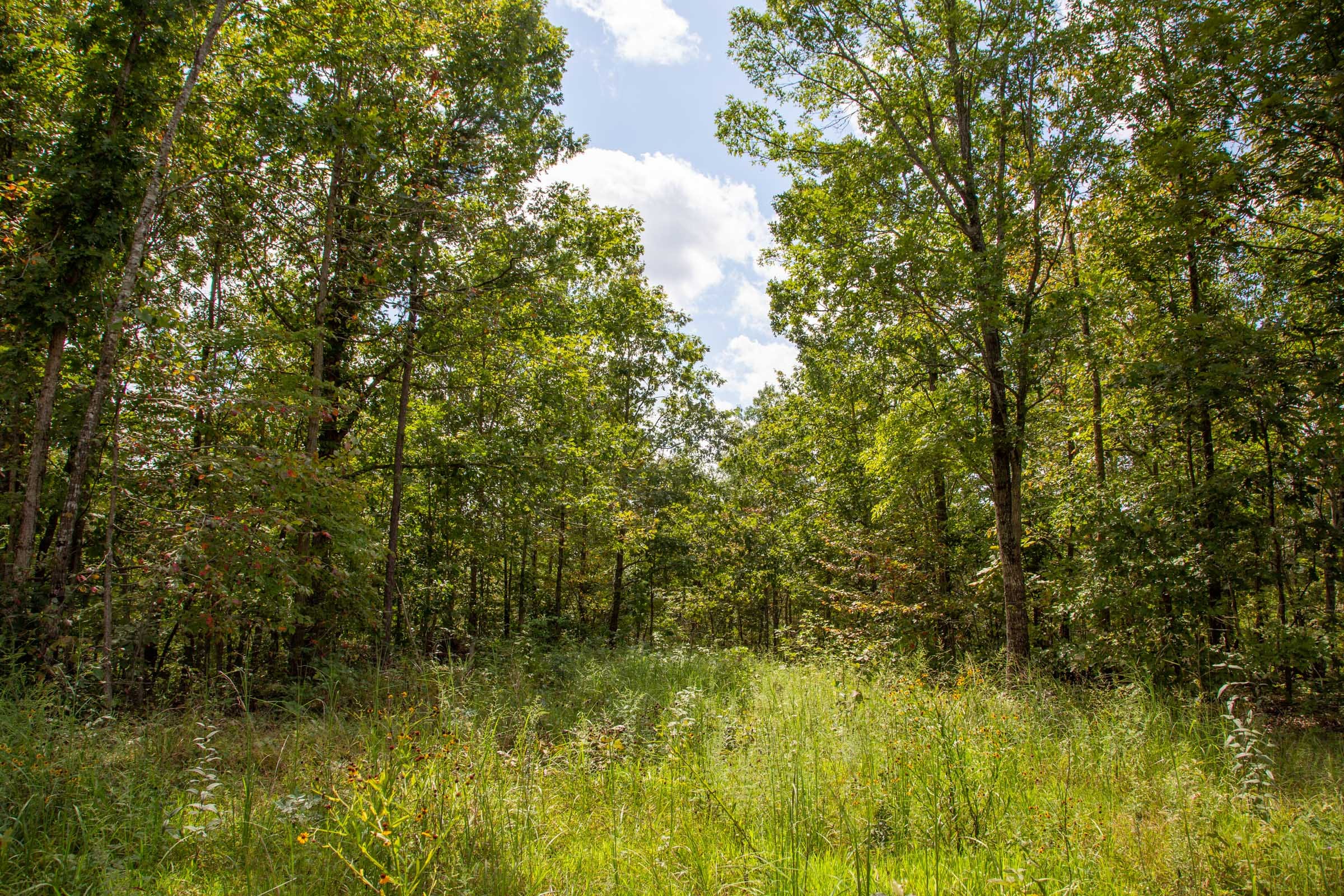 Borgmann’s Hollow Phase II Tract 53 photo 11