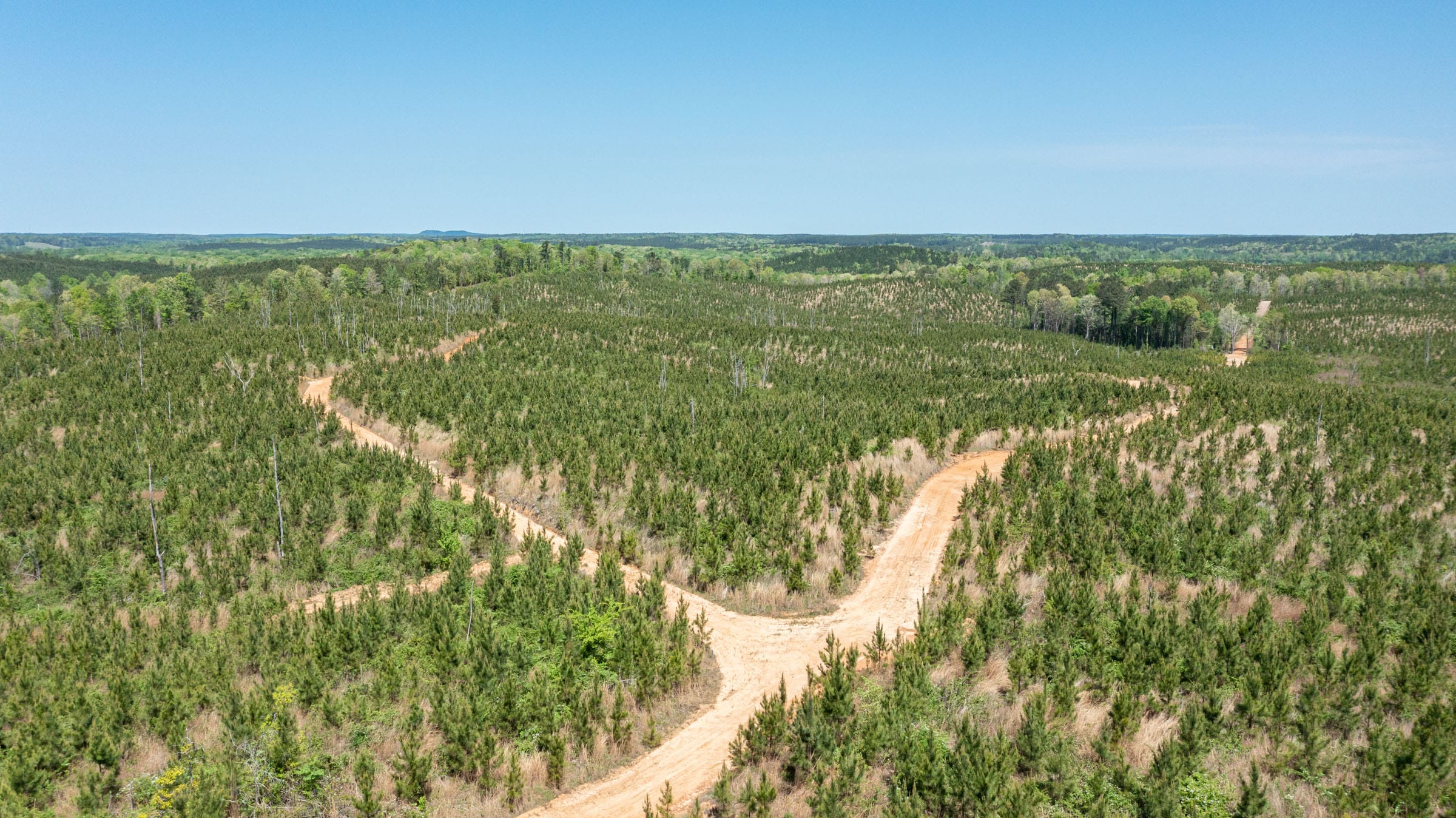 Clear Wood Tract 53 photo 4