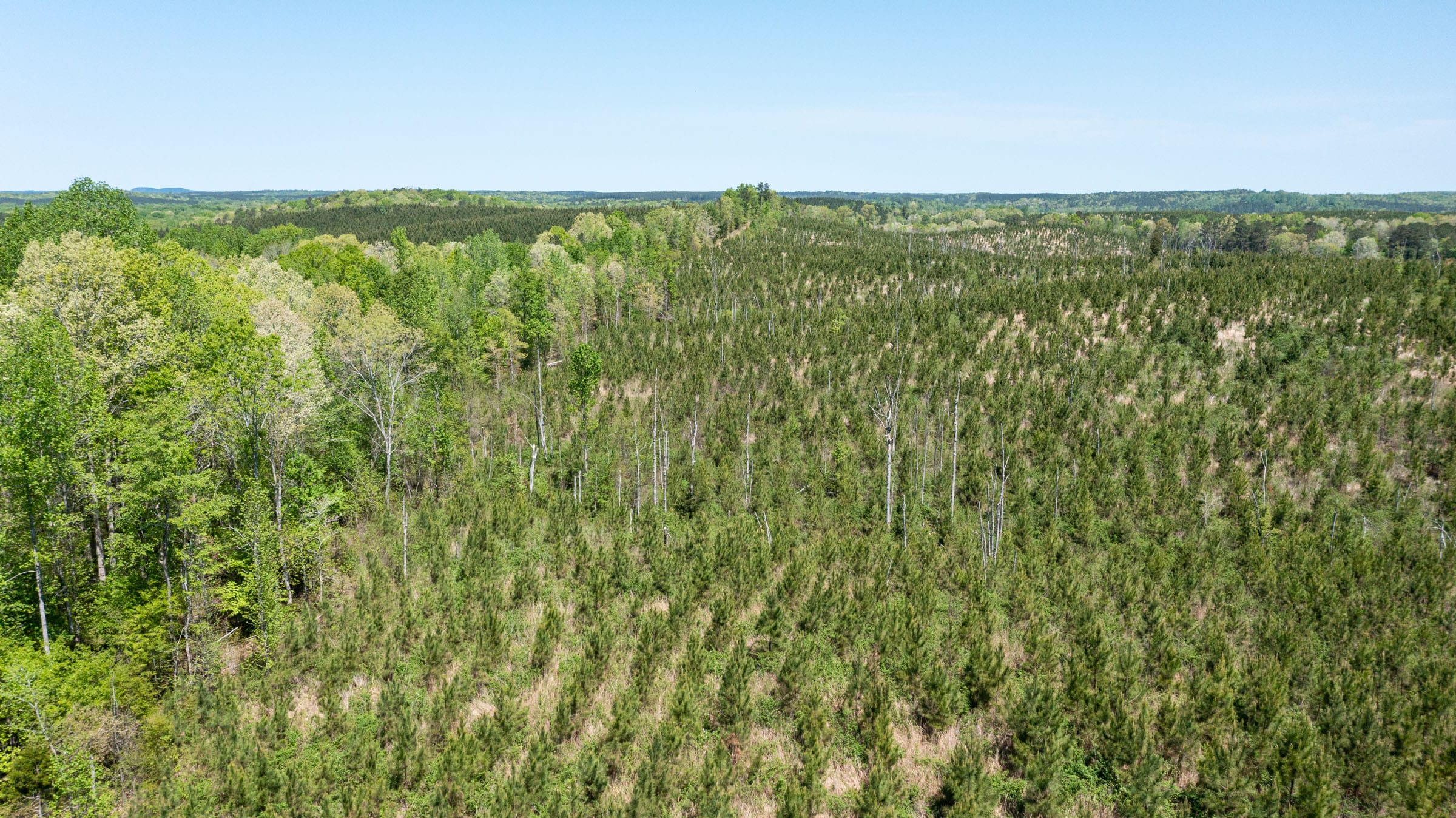 Clear Wood Tract 53 photo 5