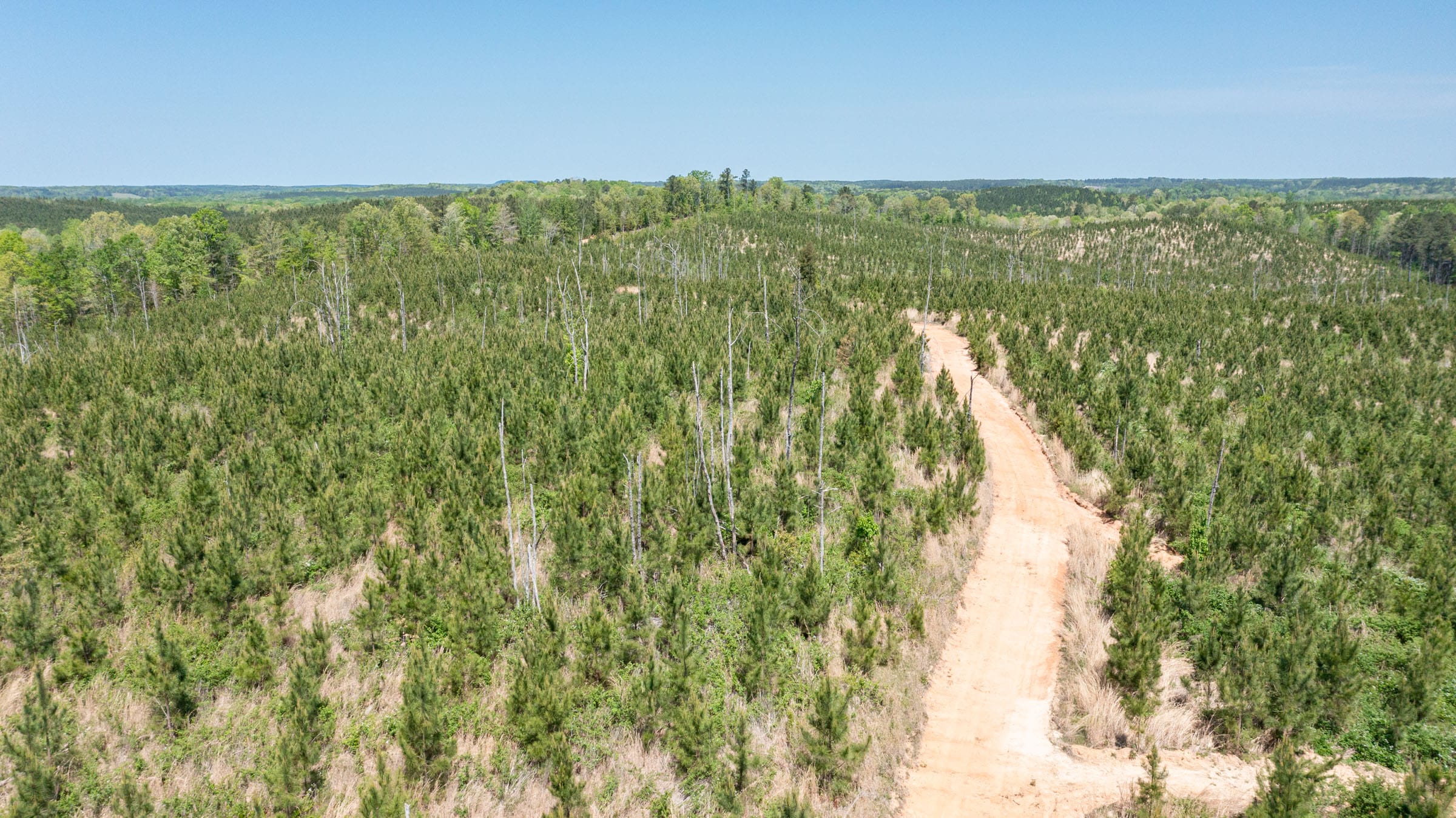 Clear Wood Tract 53 photo 6