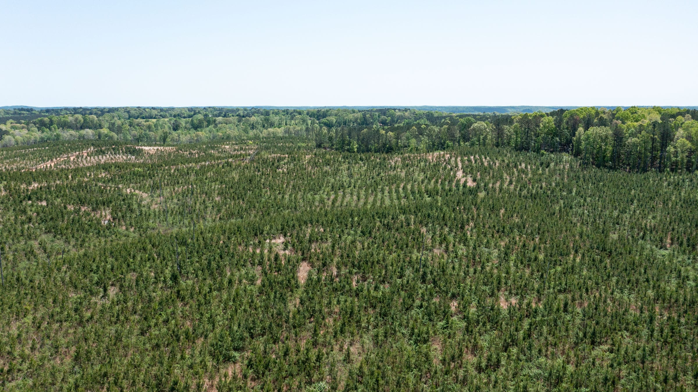 Clear Wood Tract 53 photo 8