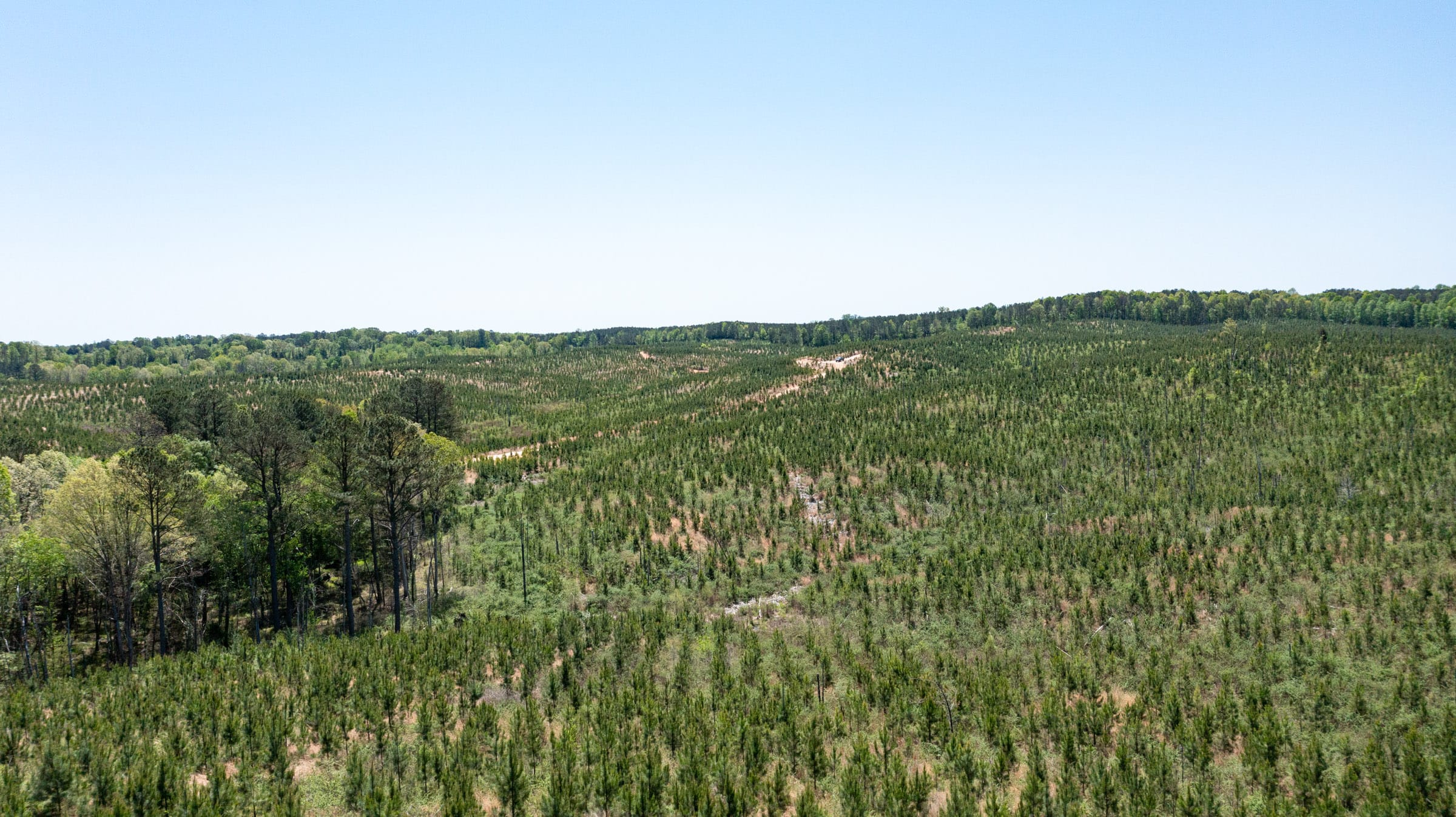Clear Wood Tract 53 photo 13