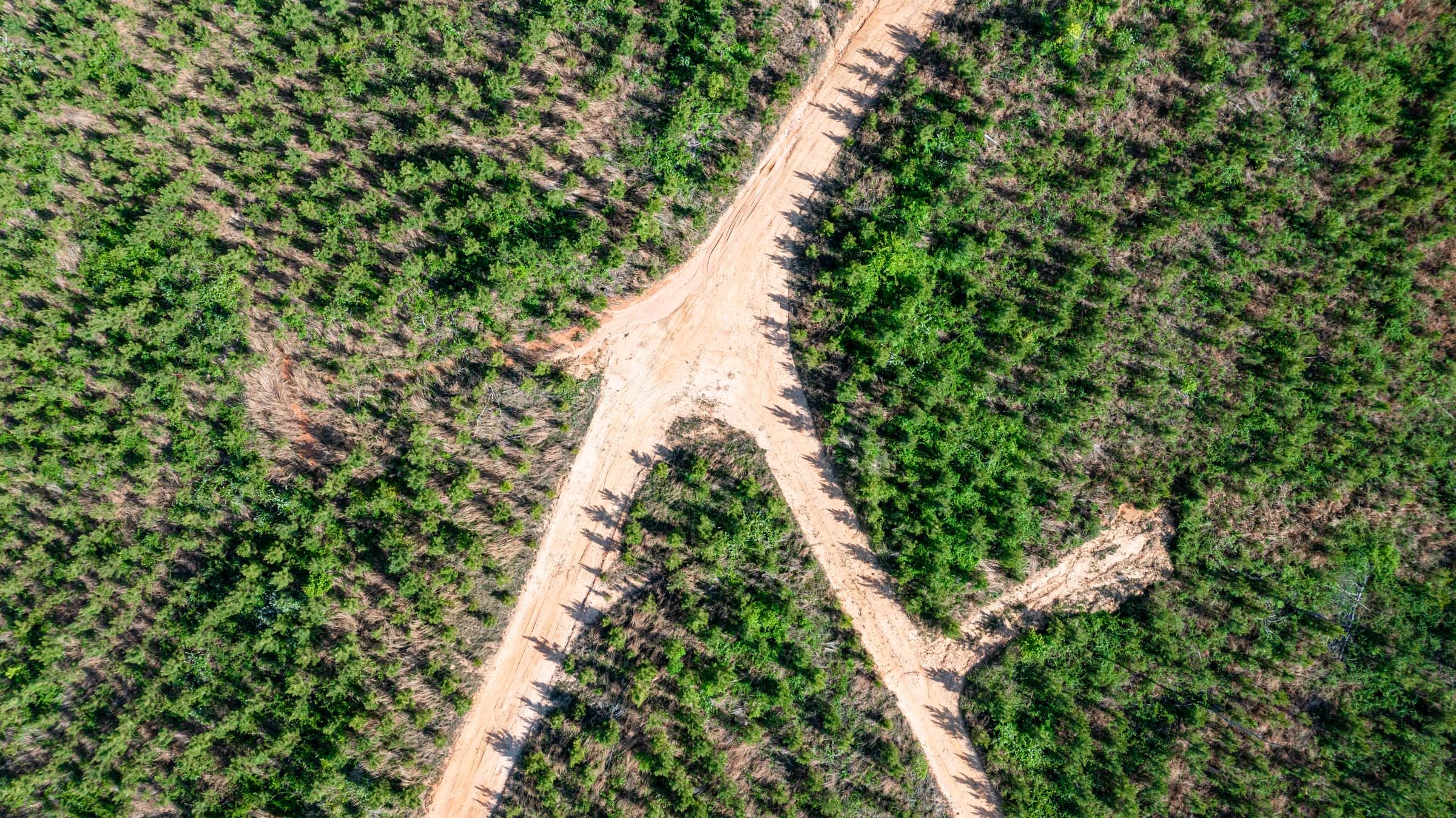 Clear Wood Tract 53 photo 16