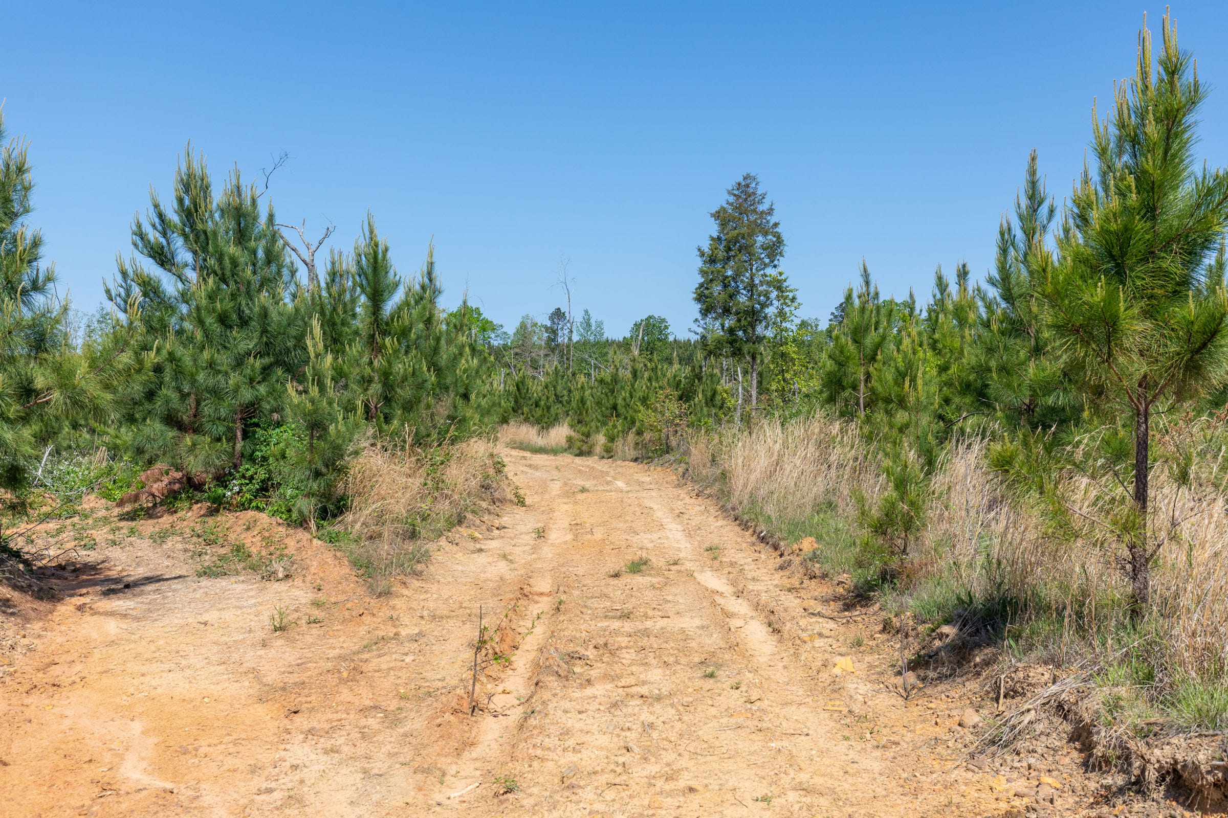 Clear Wood Tract 53 photo 22