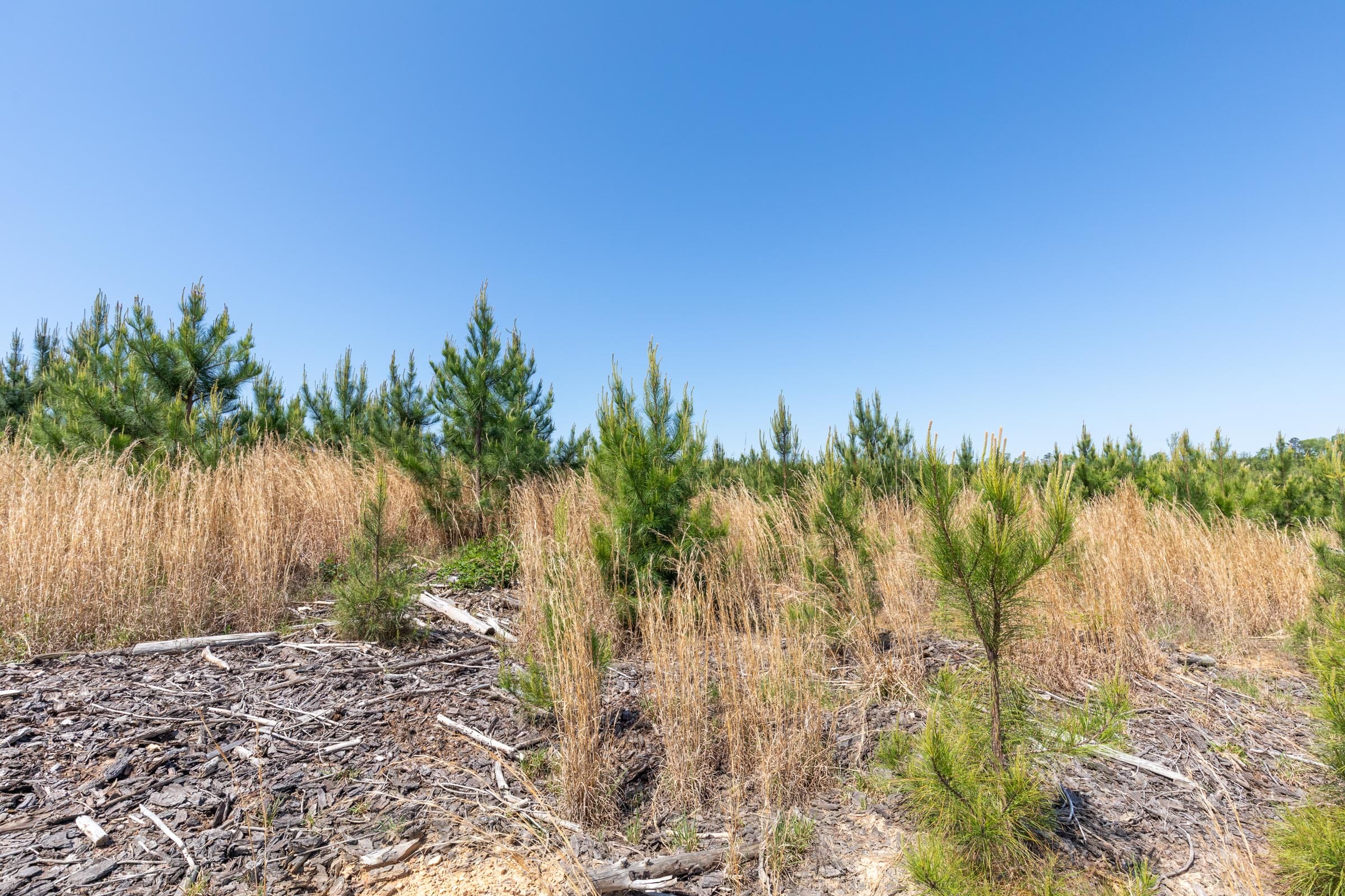 Clear Wood Tract 53 photo 31