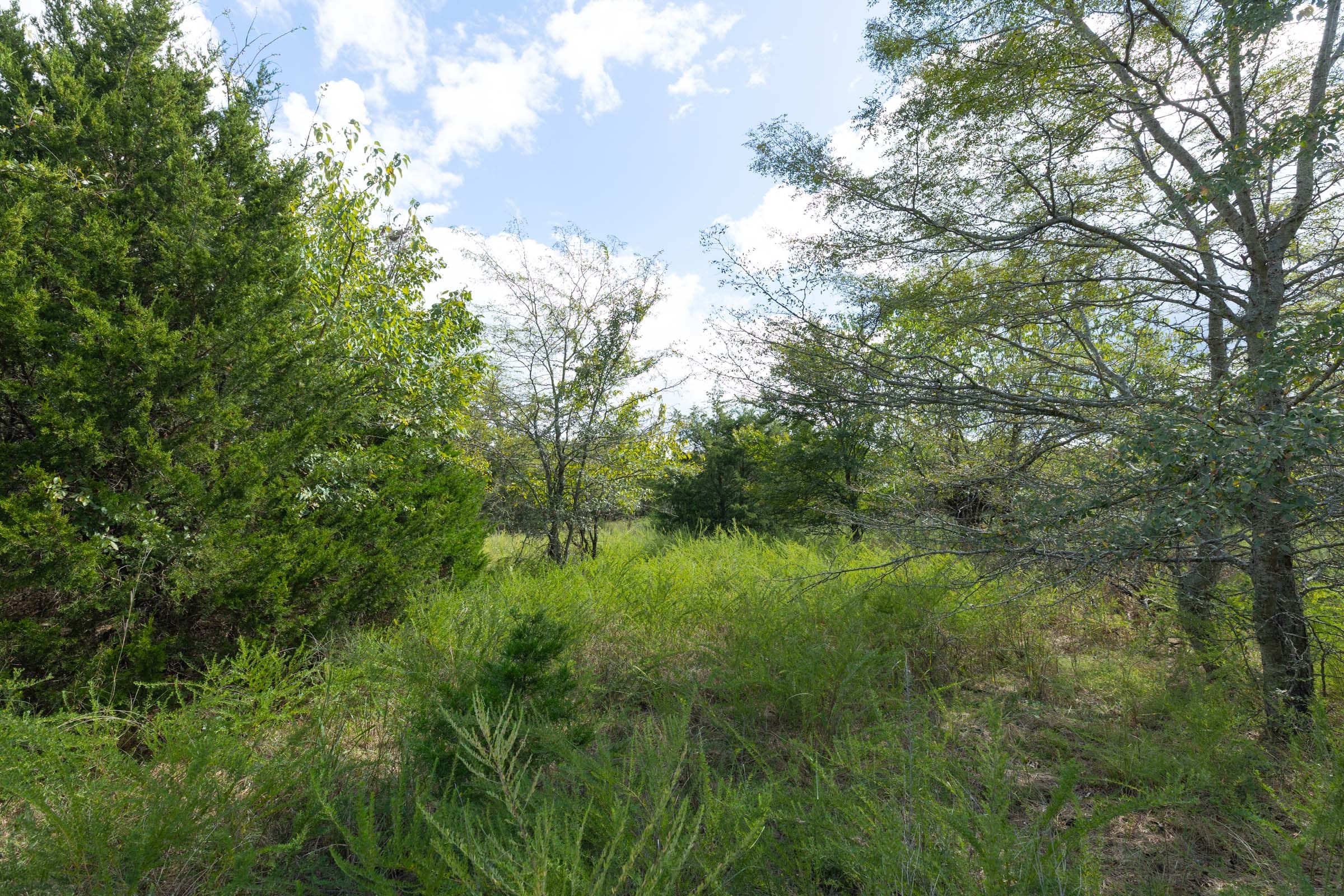 Reserves At Cattail Cove Phase II Tract 93 photo 12